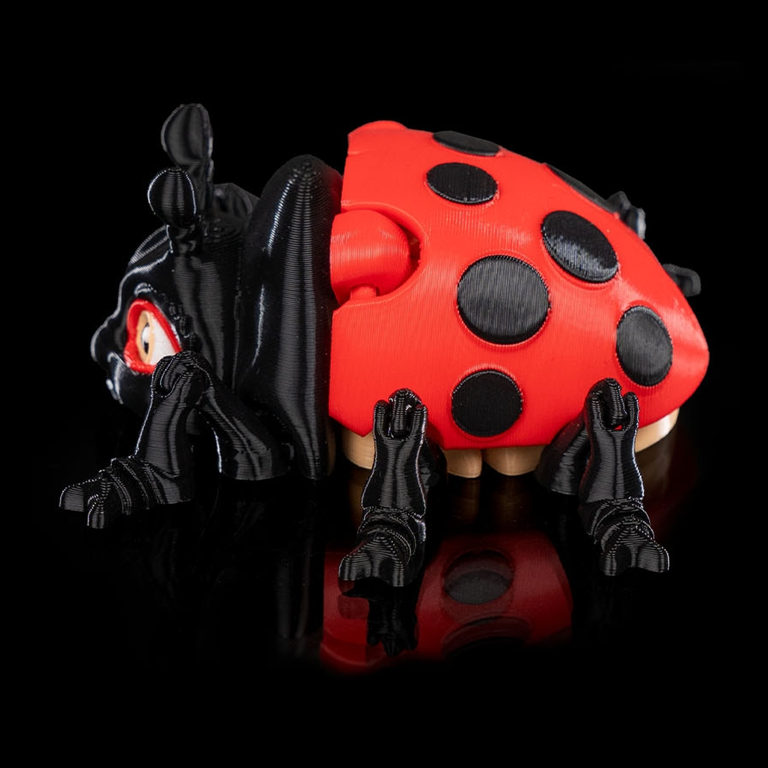 Lilly Ladybug