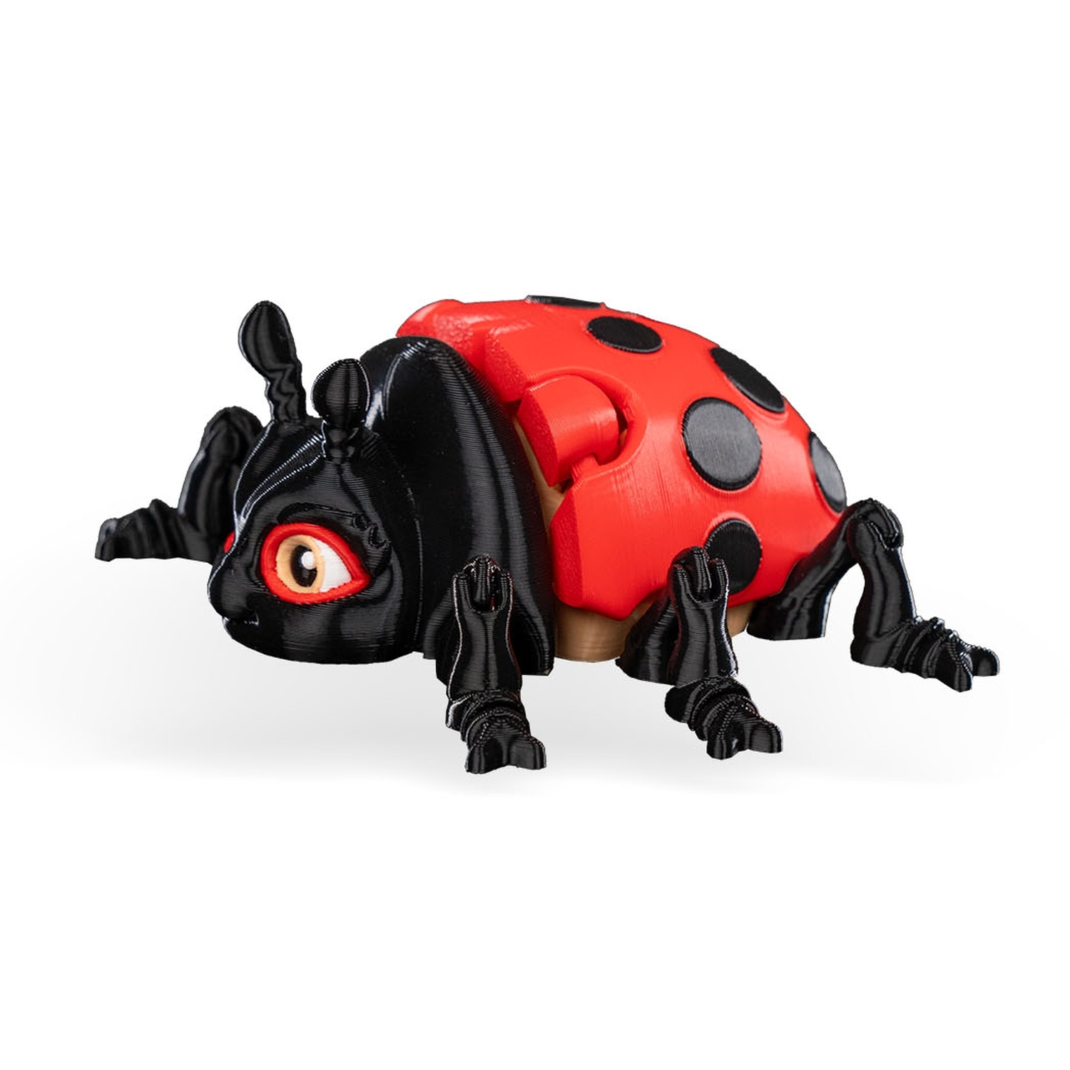 Lilly Ladybug