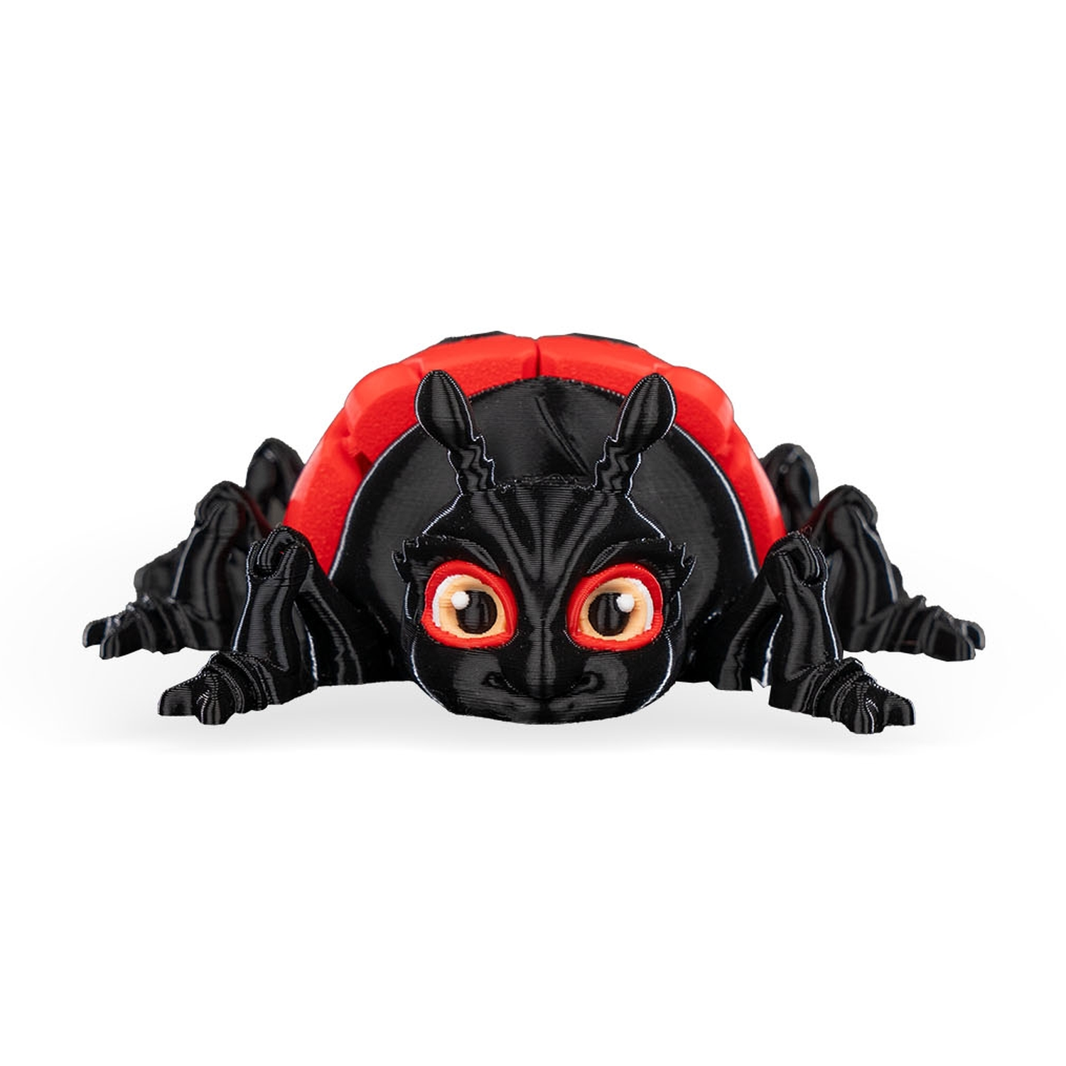 Lilly Ladybug