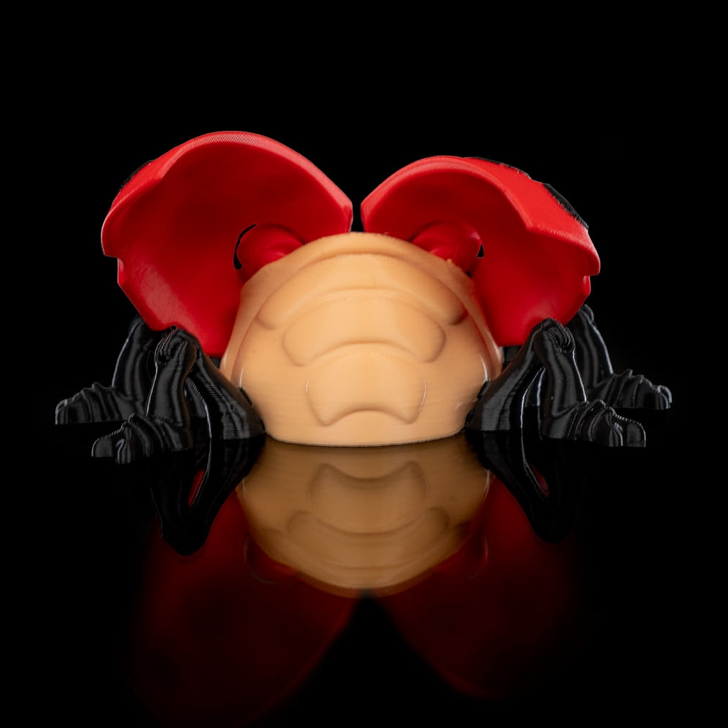 Lilly Ladybug
