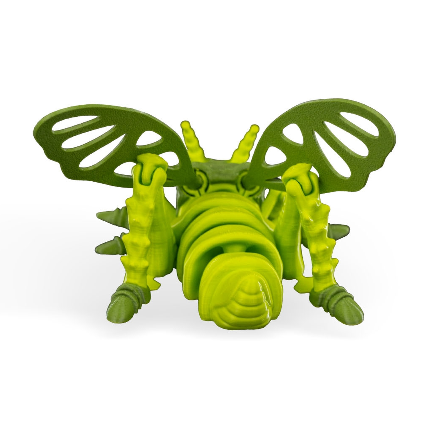 Jimmy Grasshopper