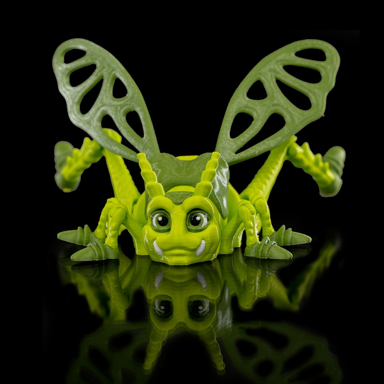 Jimmy Grasshopper