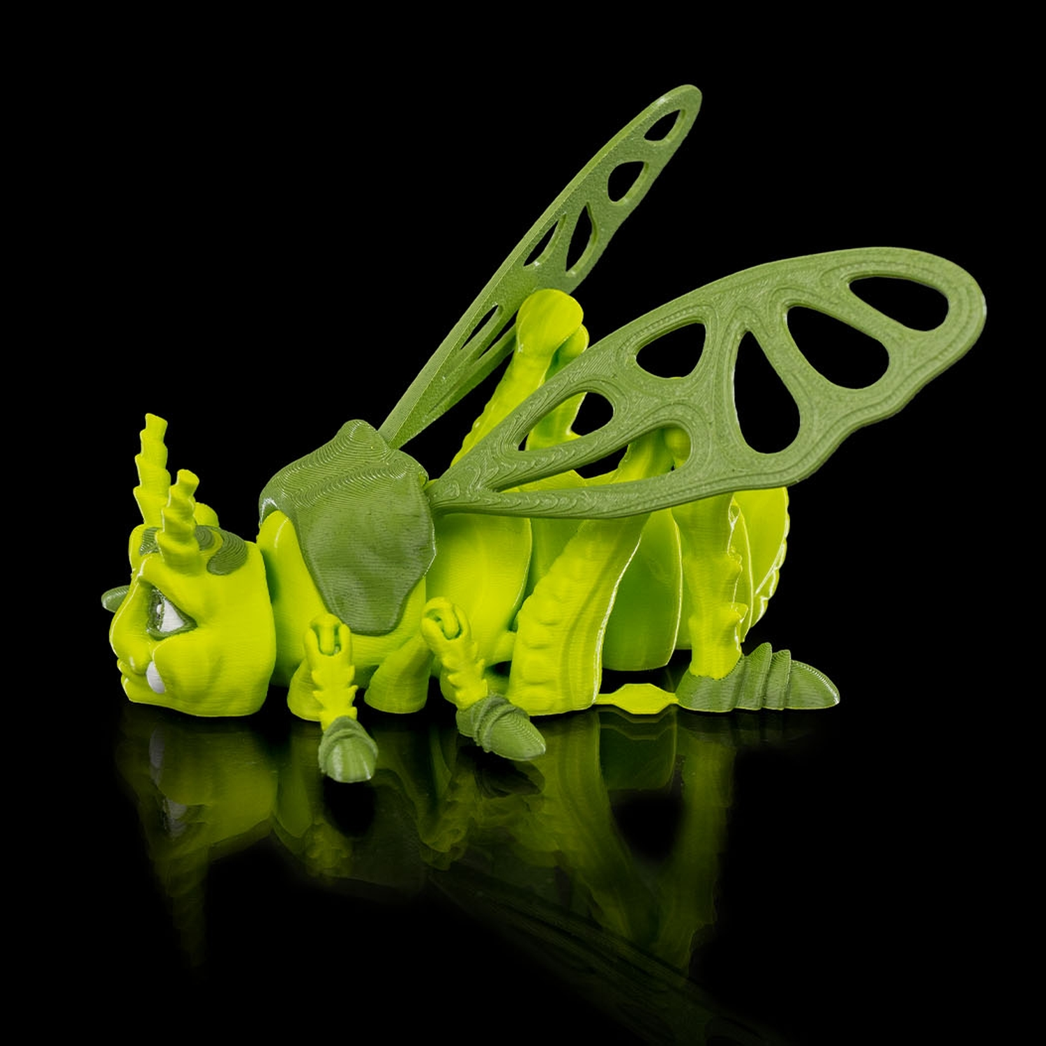 Jimmy Grasshopper