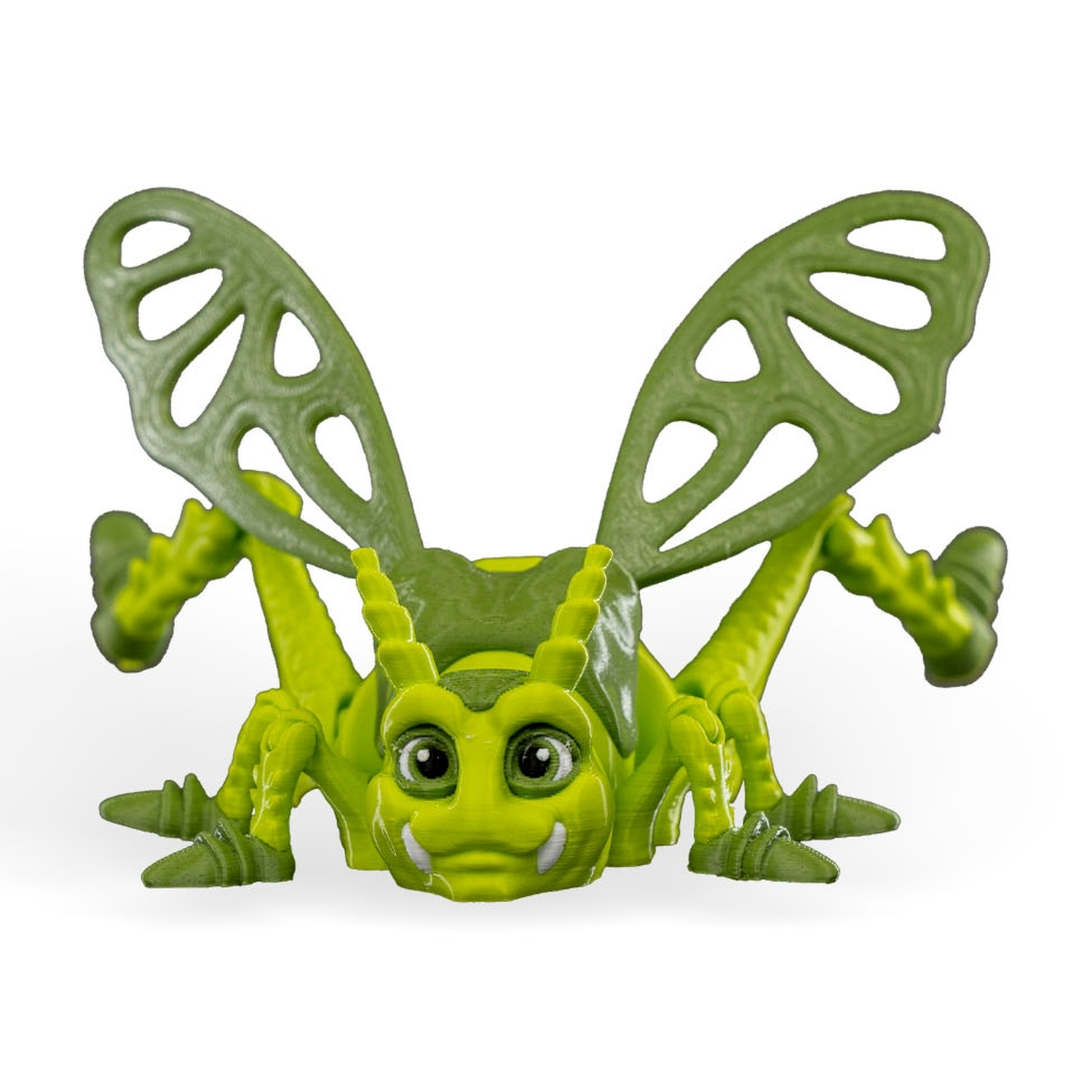 Jimmy Grasshopper