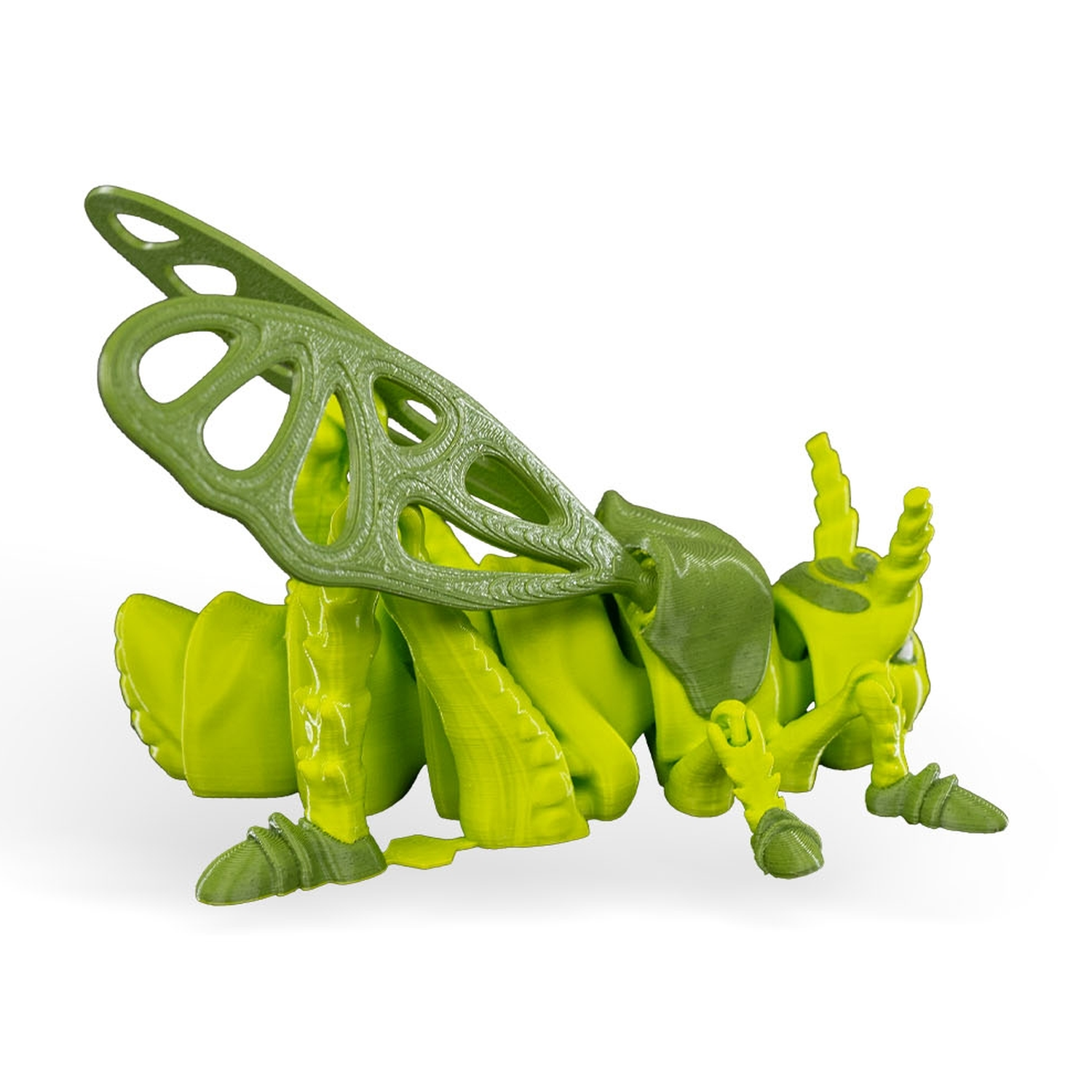 Jimmy Grasshopper