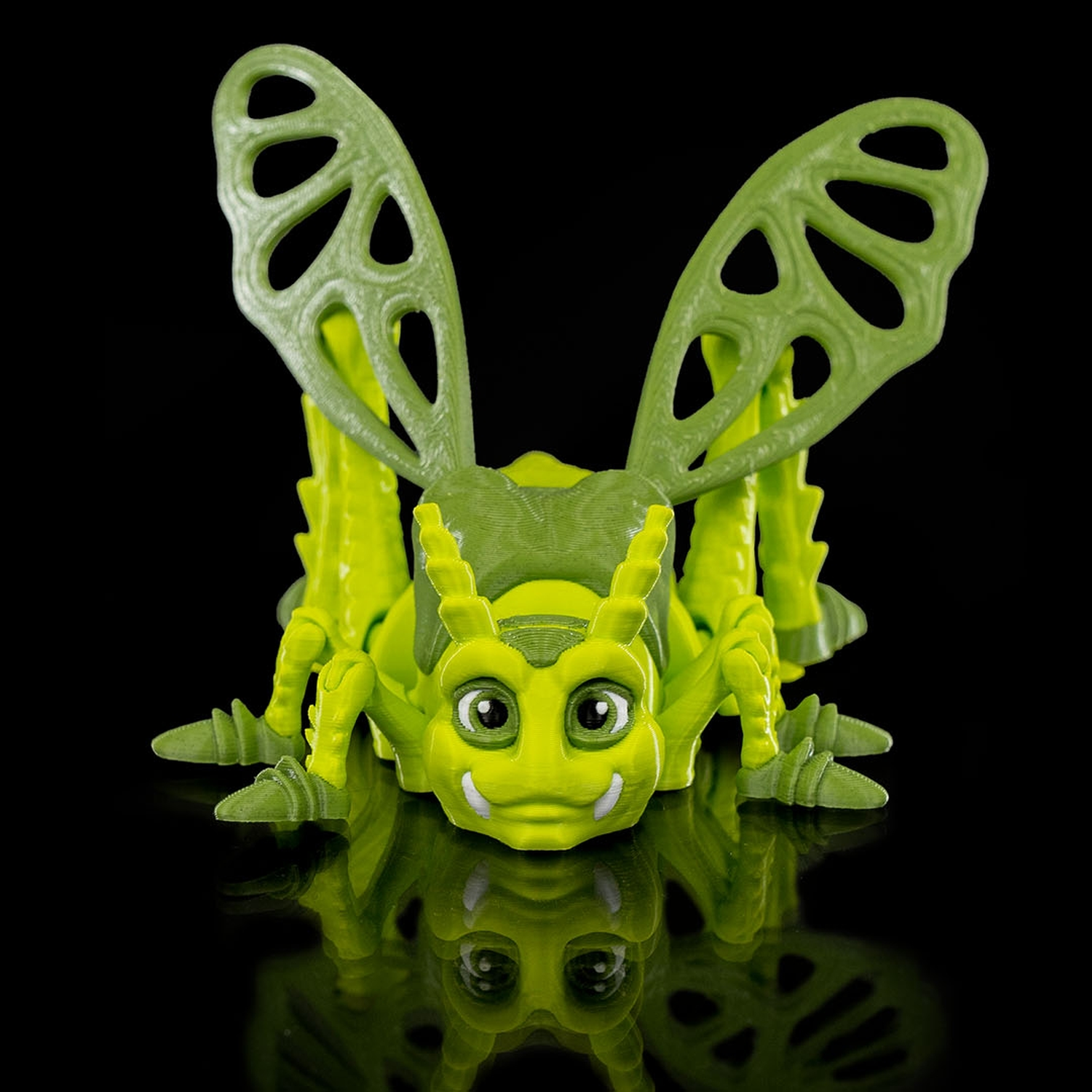 Jimmy Grasshopper