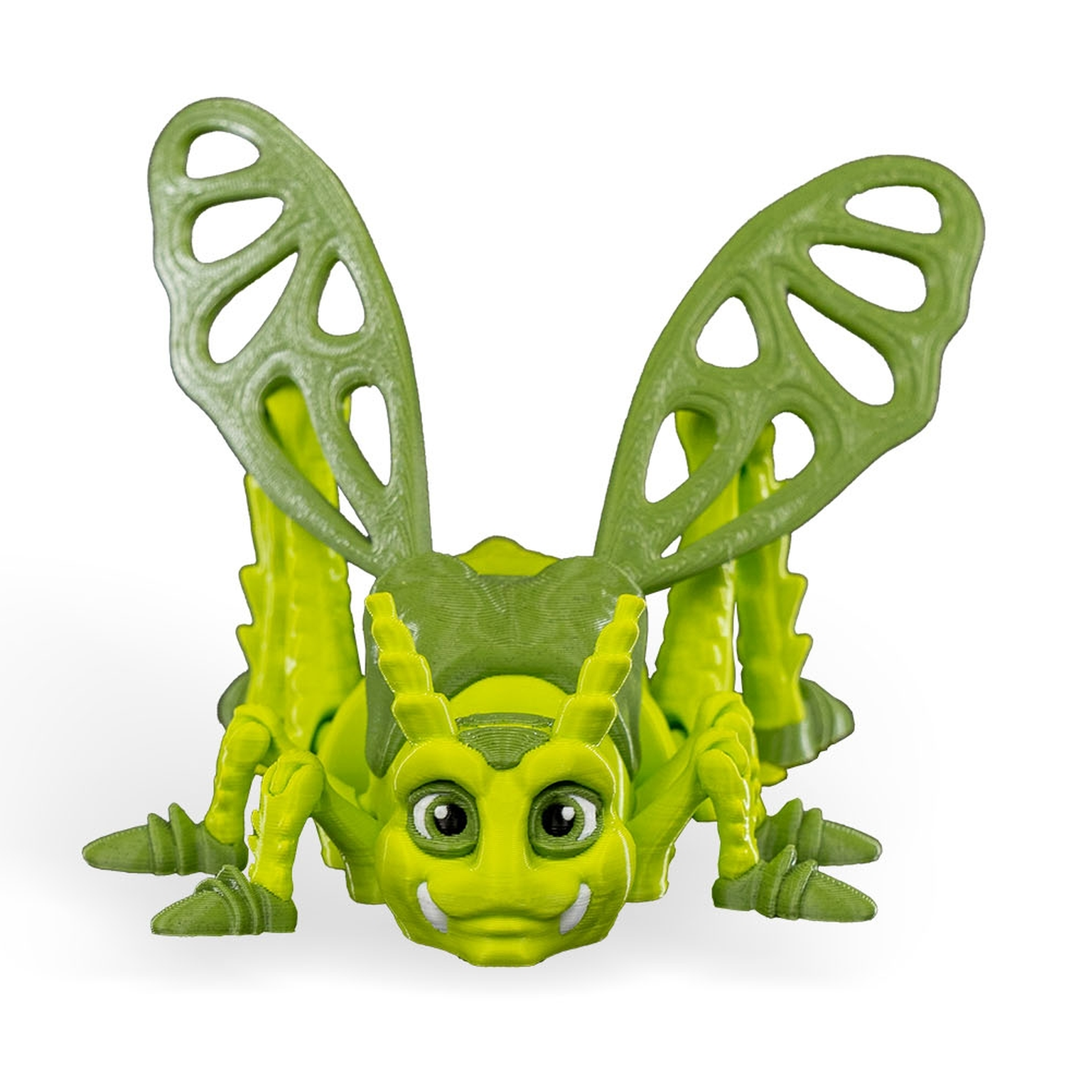 Jimmy Grasshopper