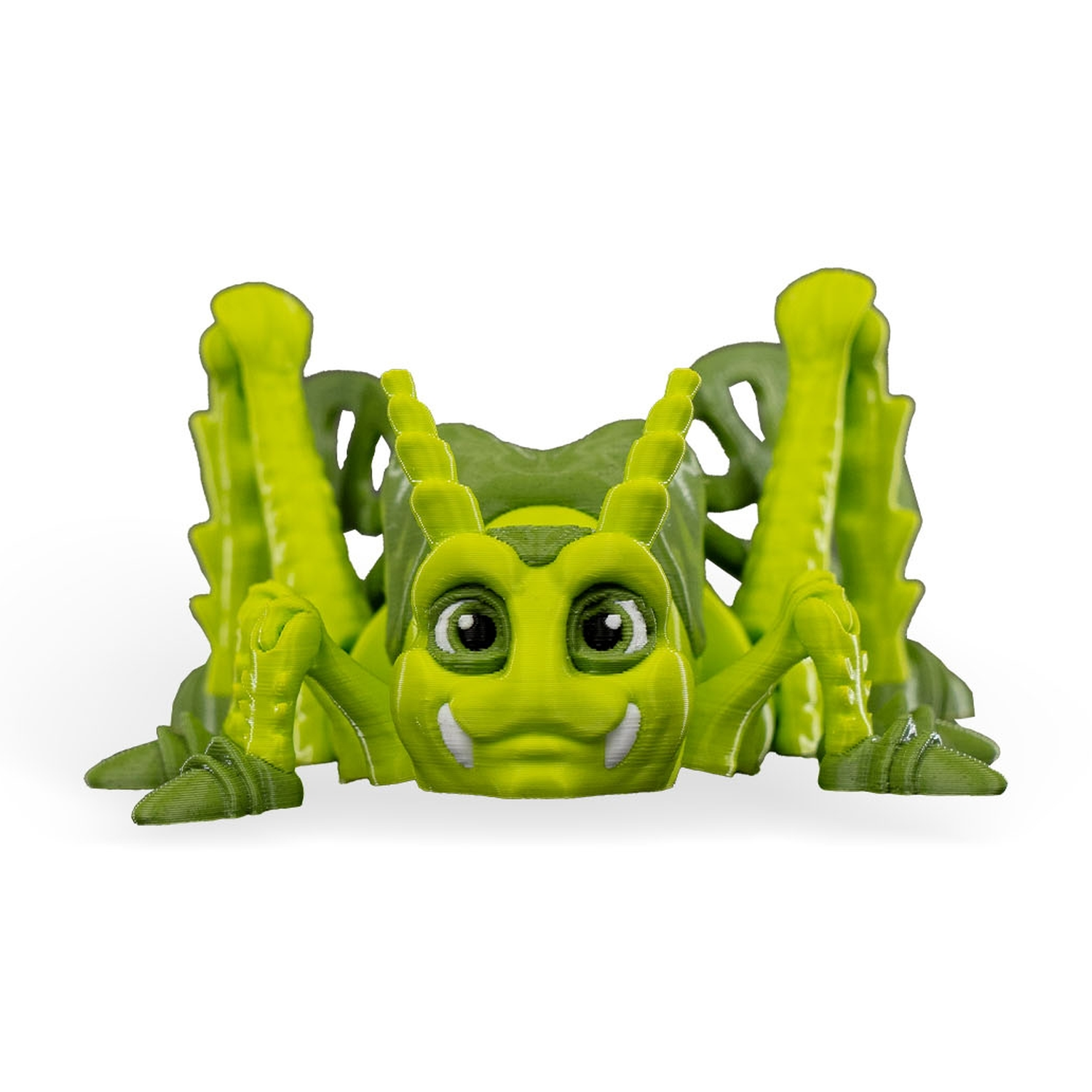 Jimmy Grasshopper