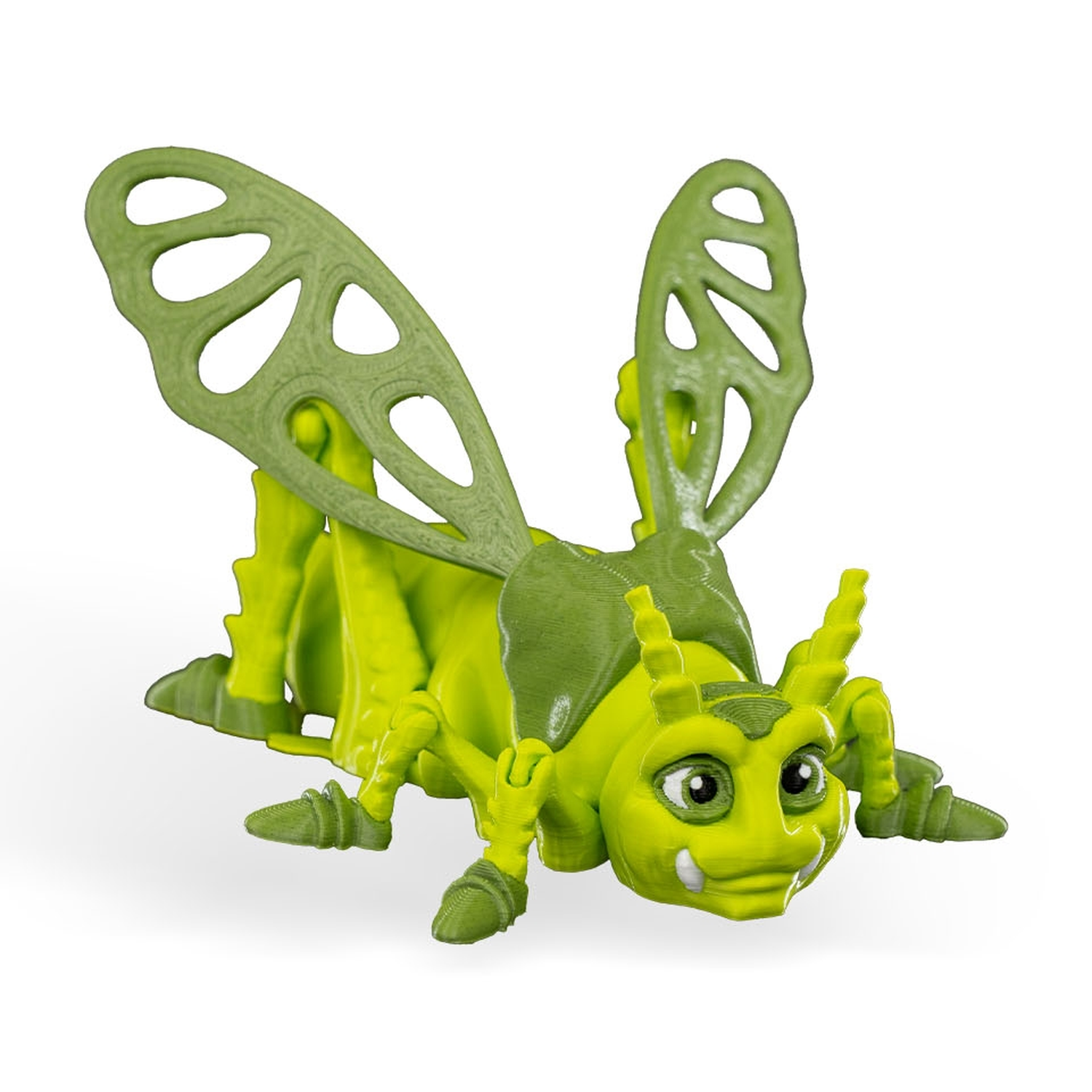 Jimmy Grasshopper