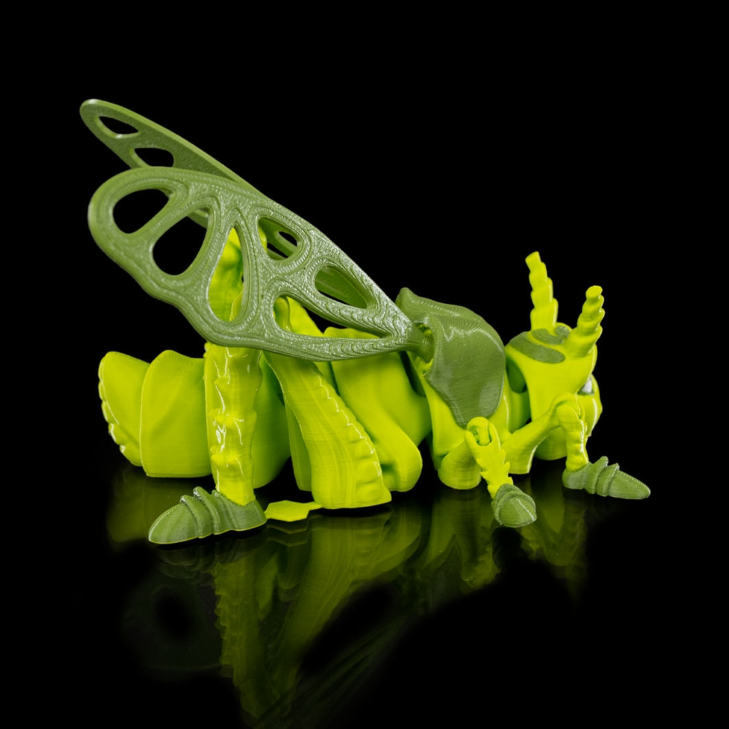 Jimmy Grasshopper