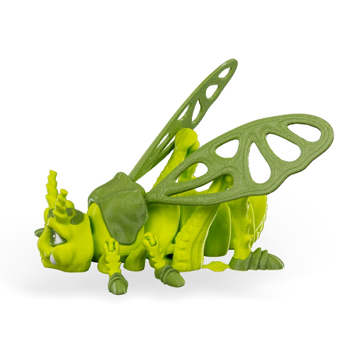Jimmy Grasshopper