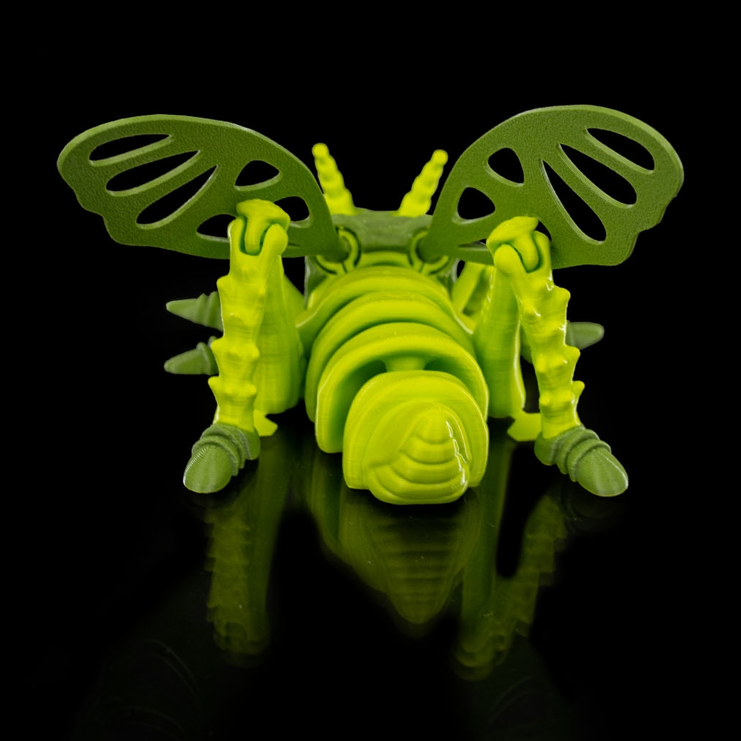 Jimmy Grasshopper