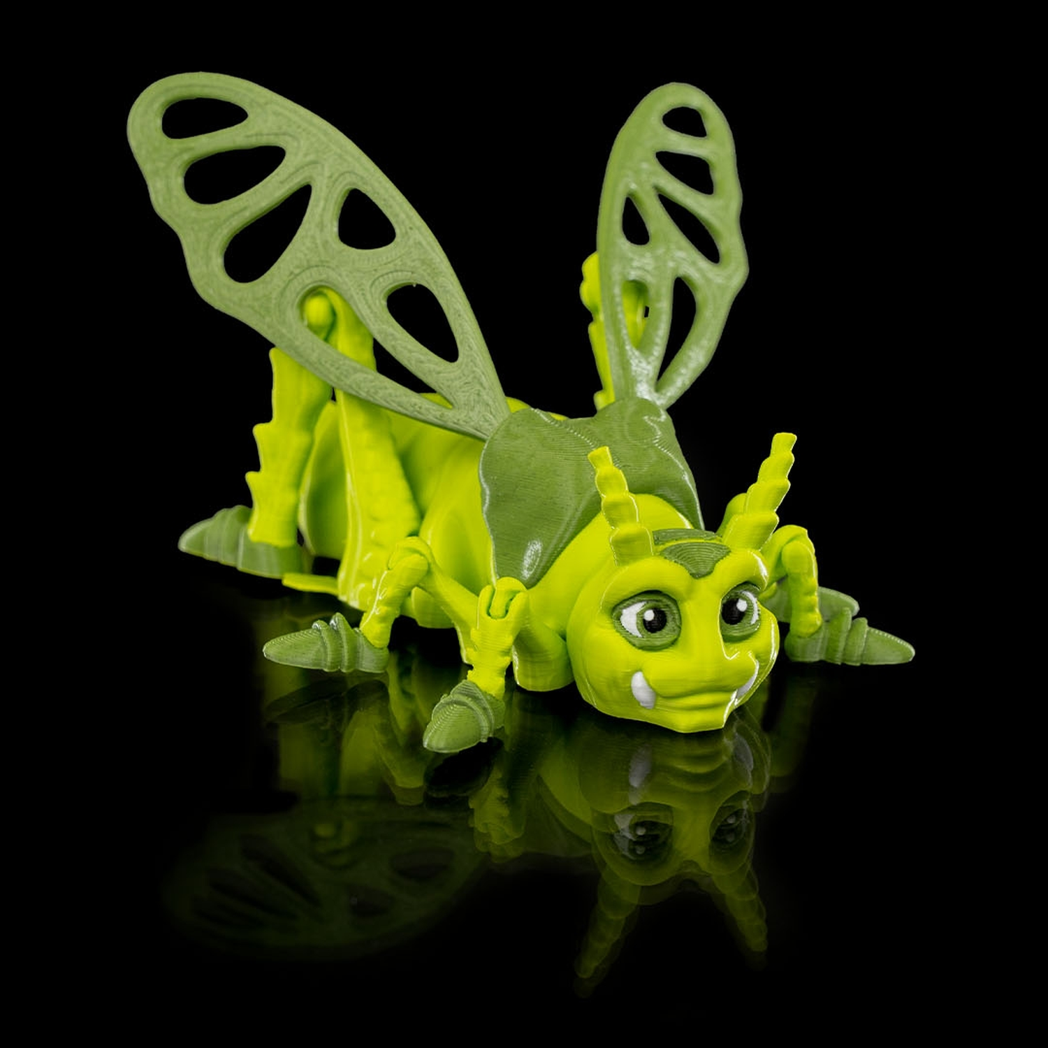Jimmy Grasshopper