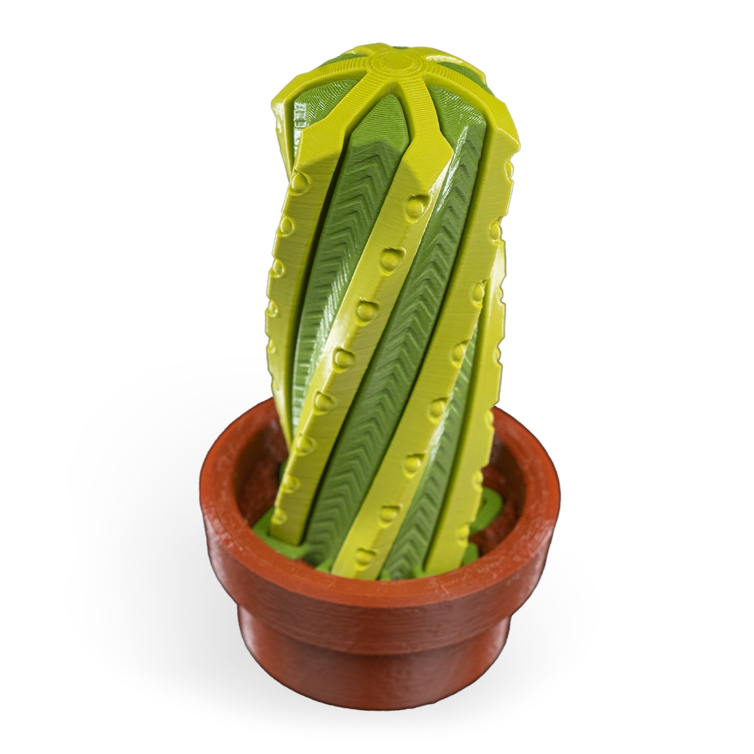Thorn-ado