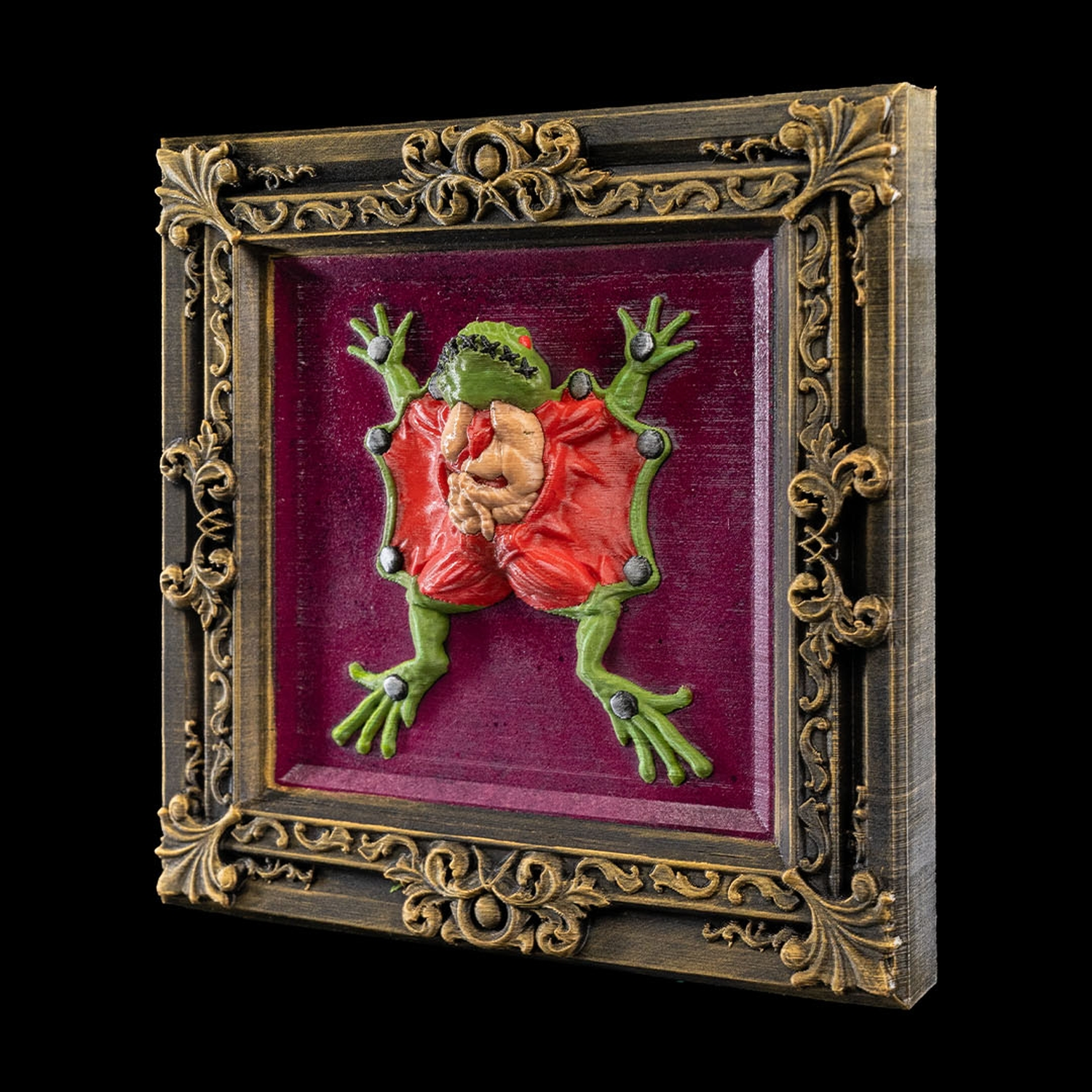 Dissected Frog