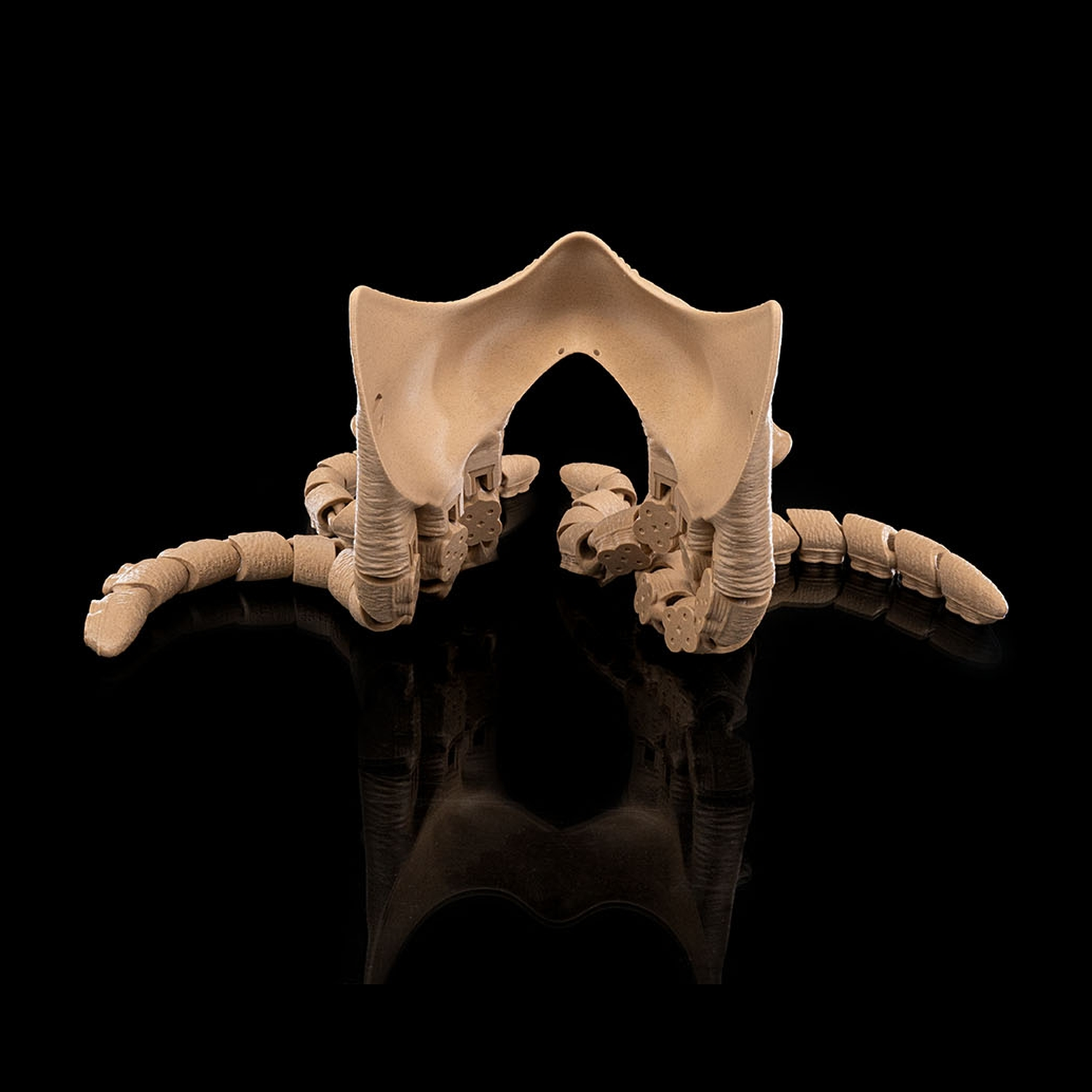 Abyssal Tentacles Halloween Mask