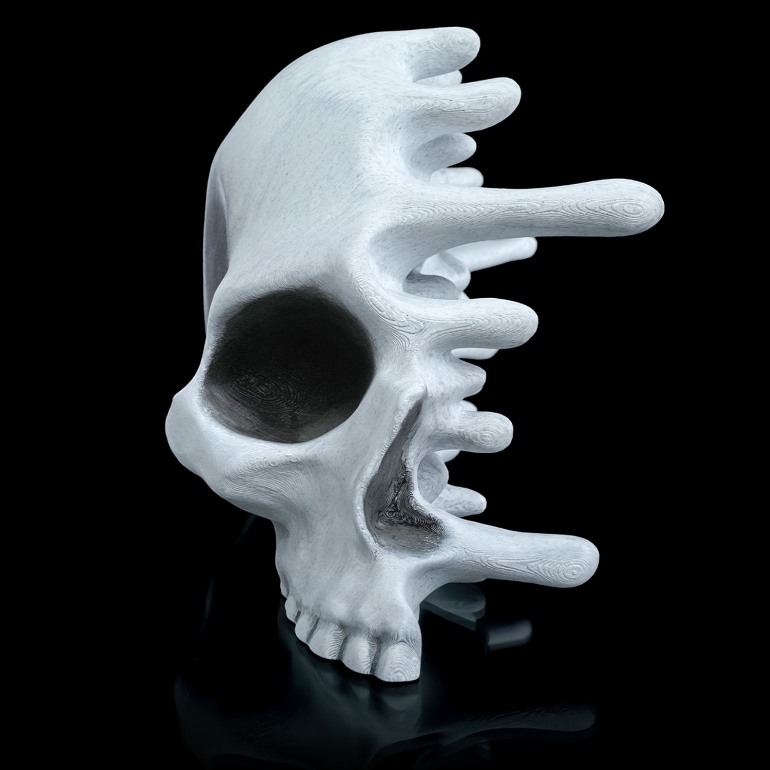 RIPped skull