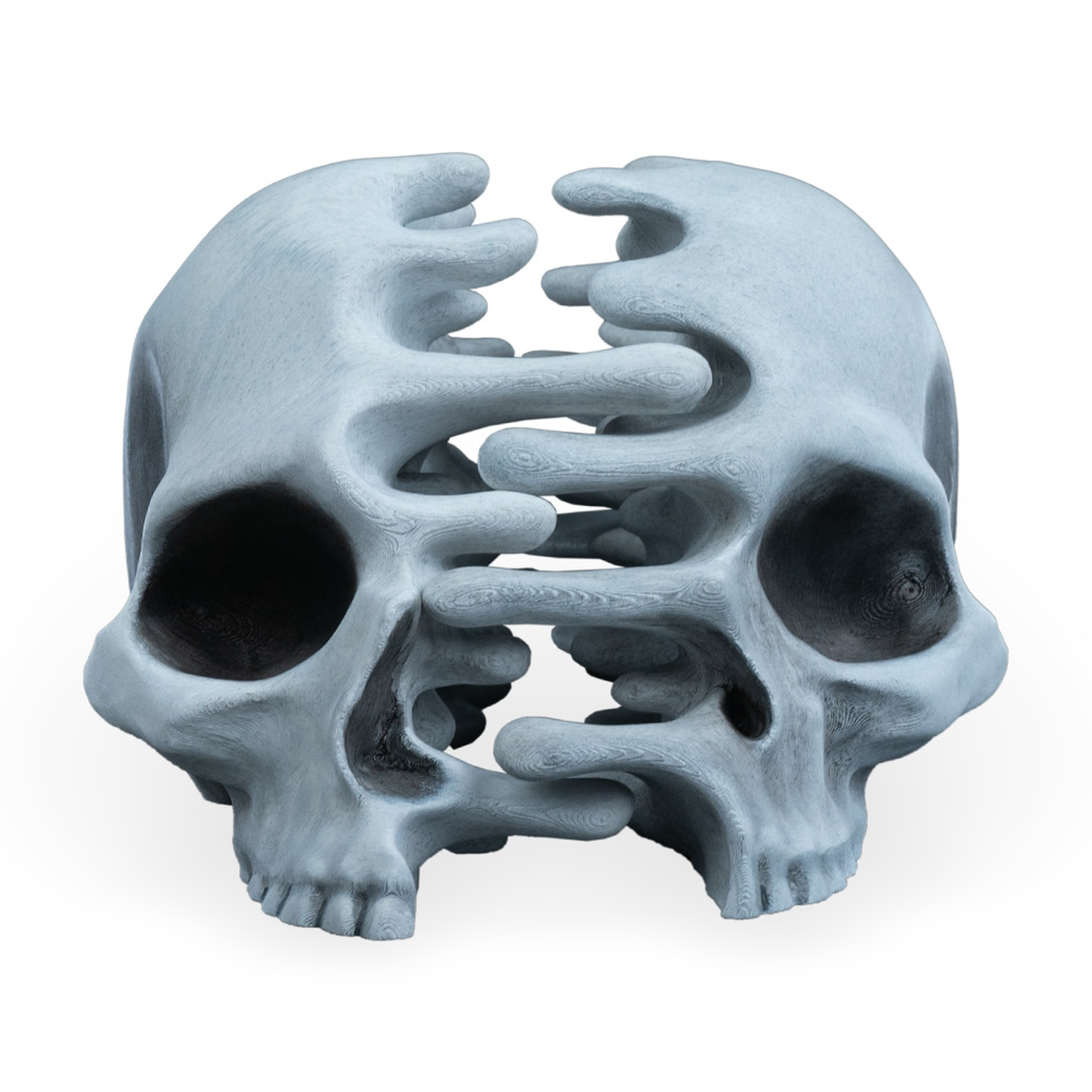 RIPped skull