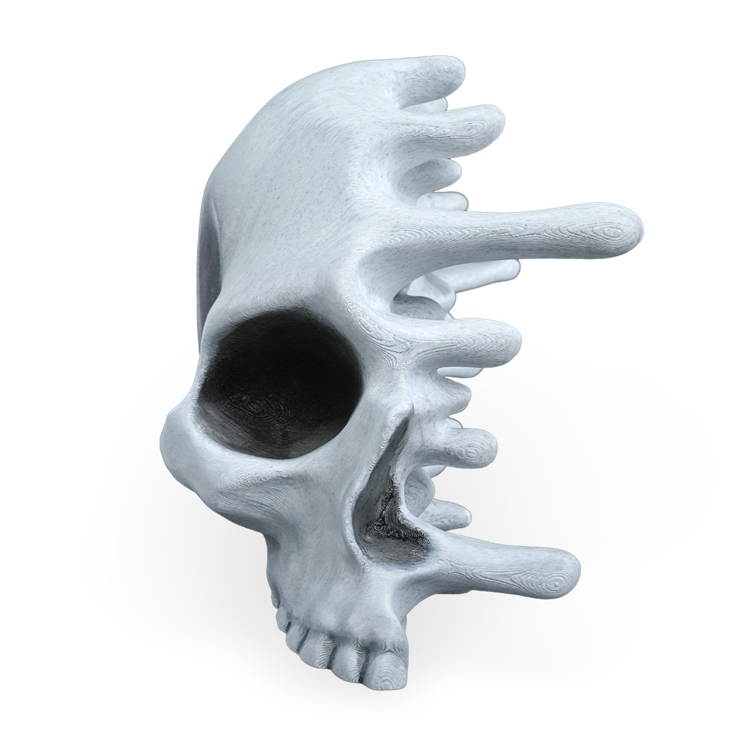 RIPped skull