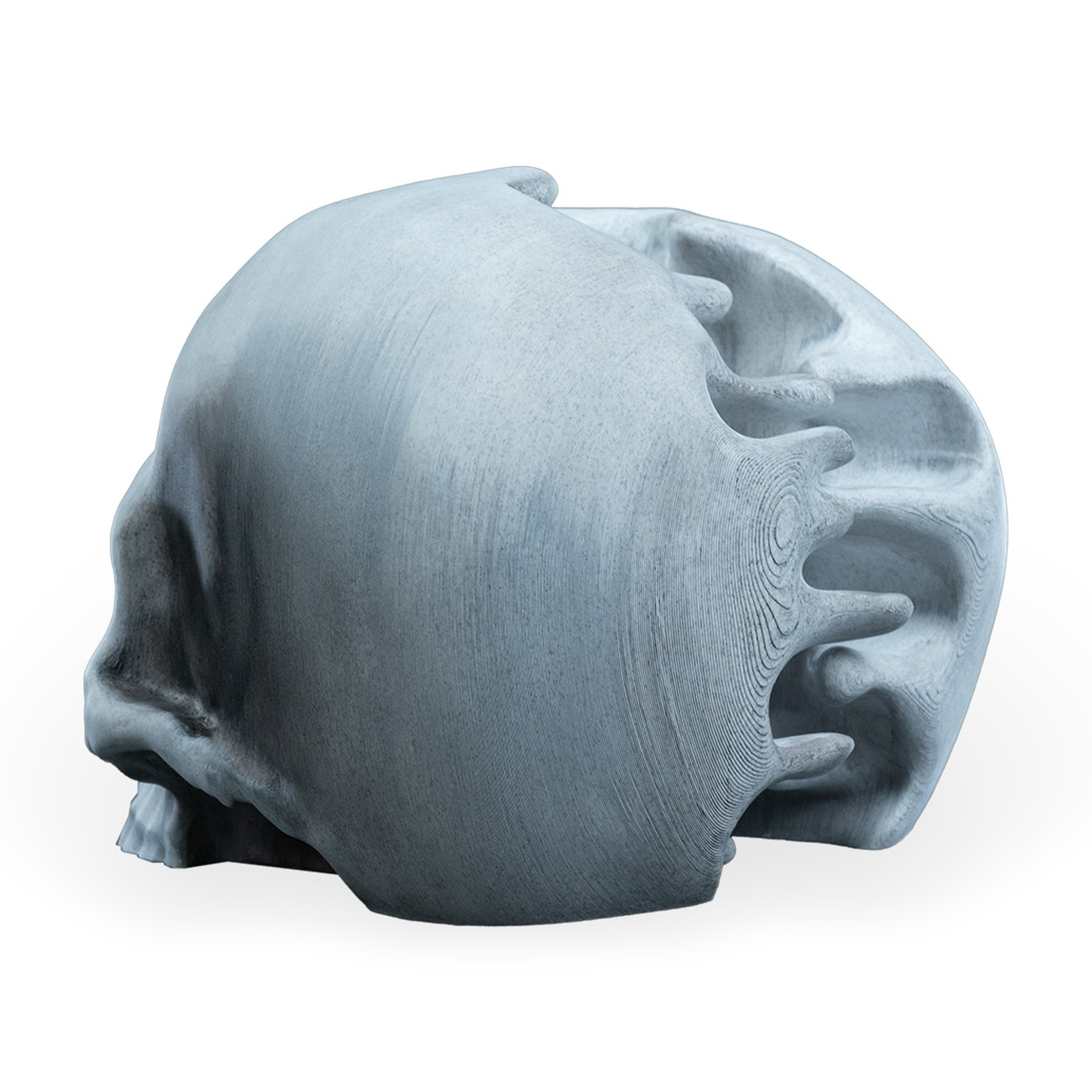 RIPped skull