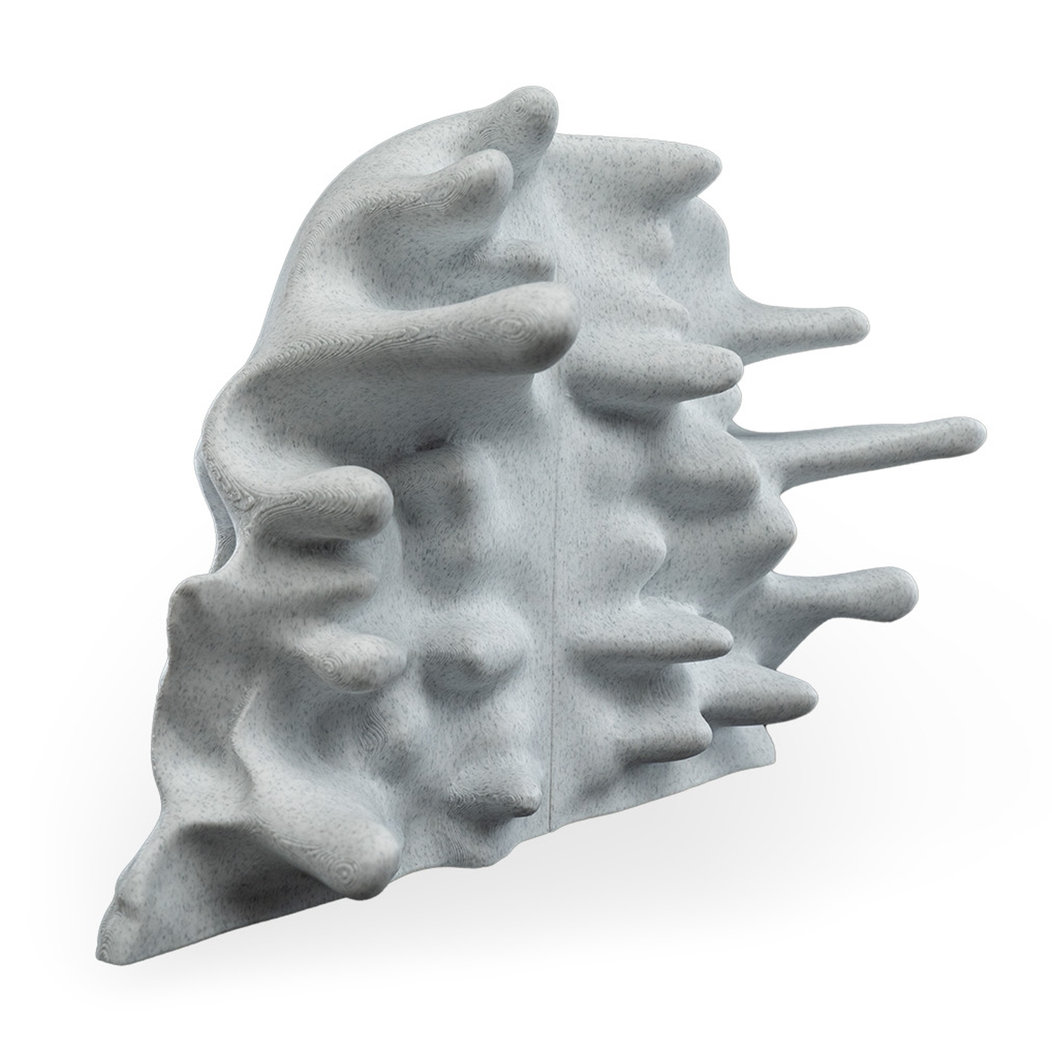 RIPped skull