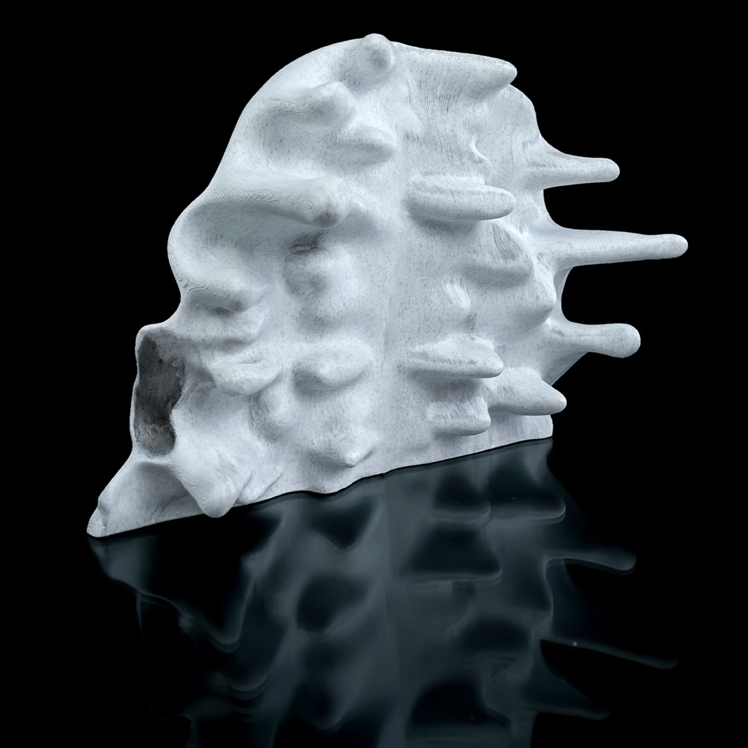 RIPped skull