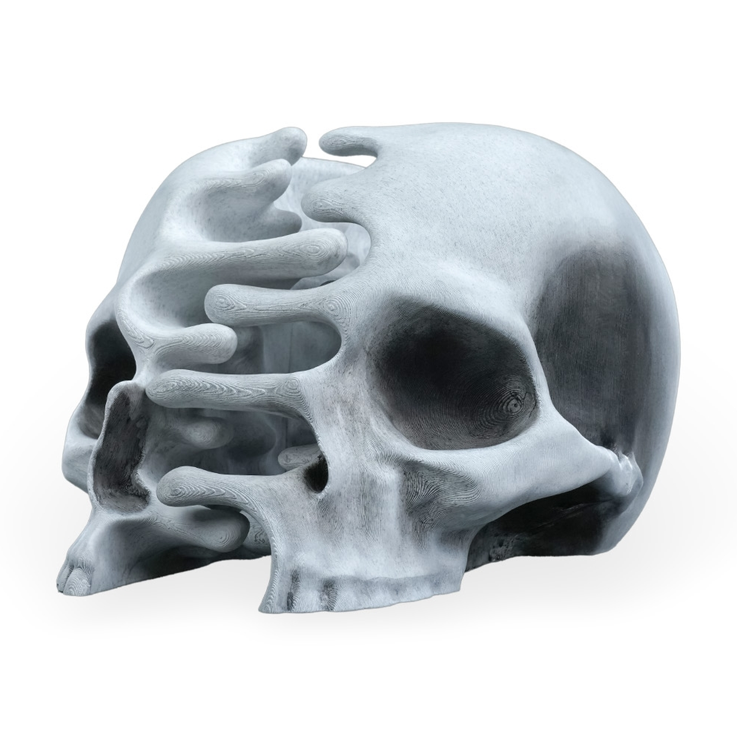 RIPped skull