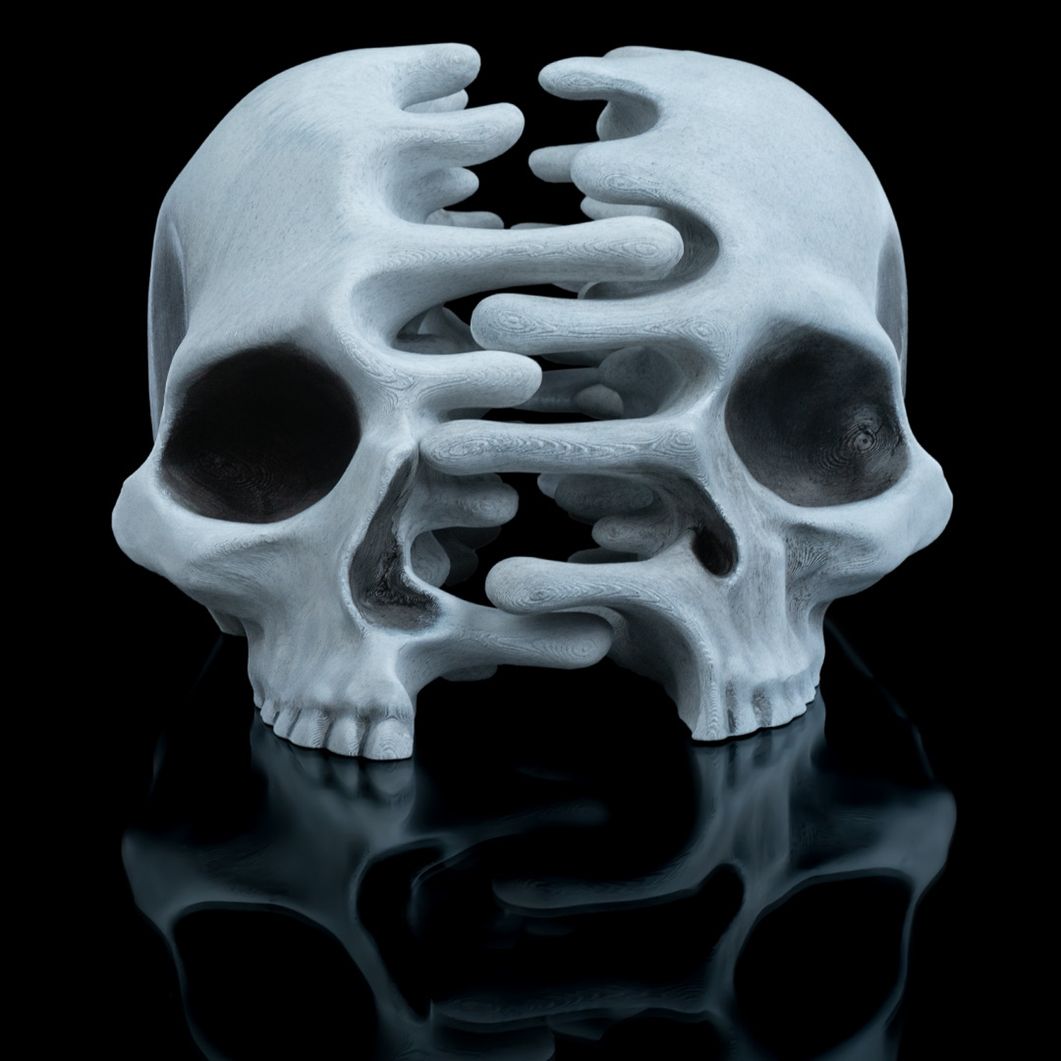 RIPped skull