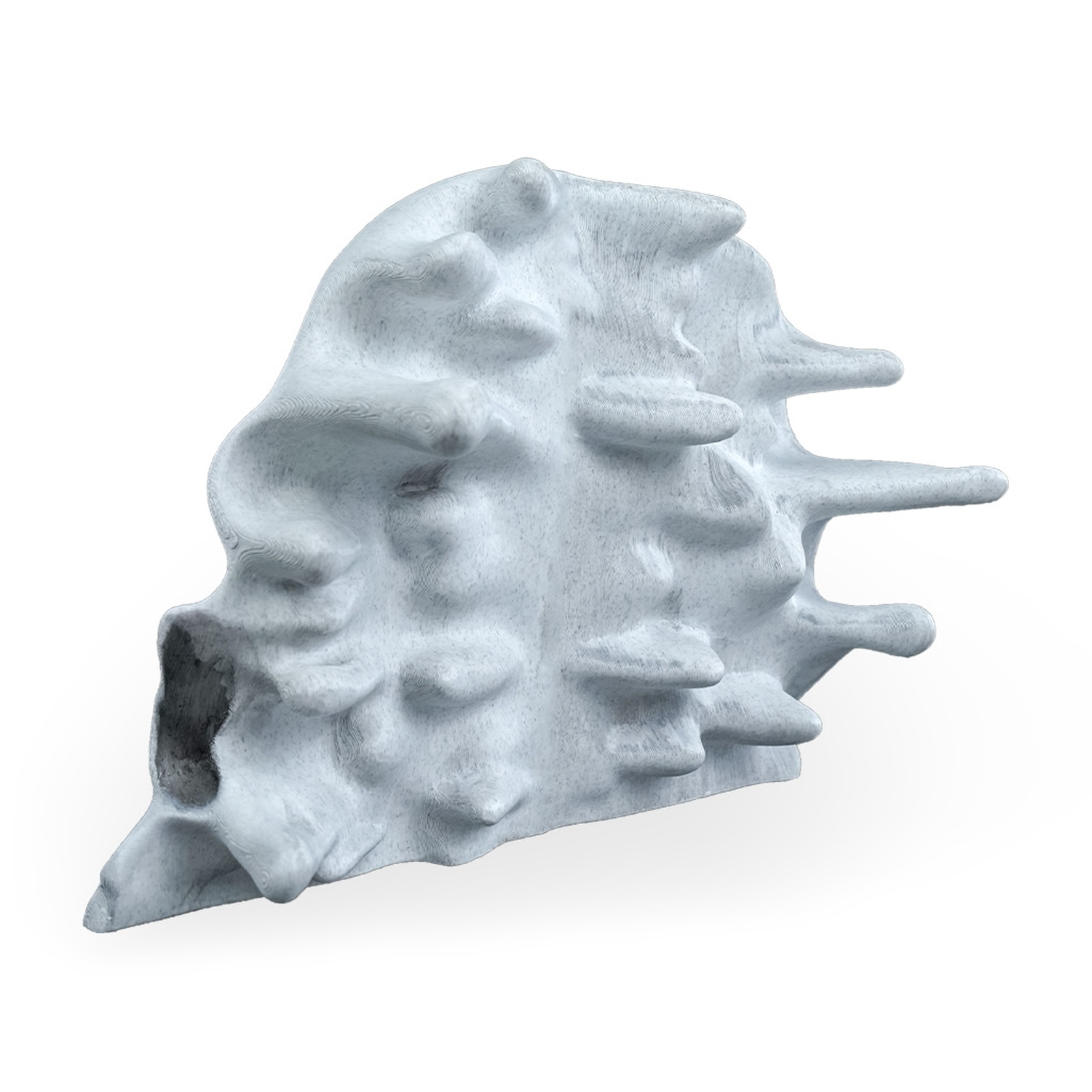 RIPped skull