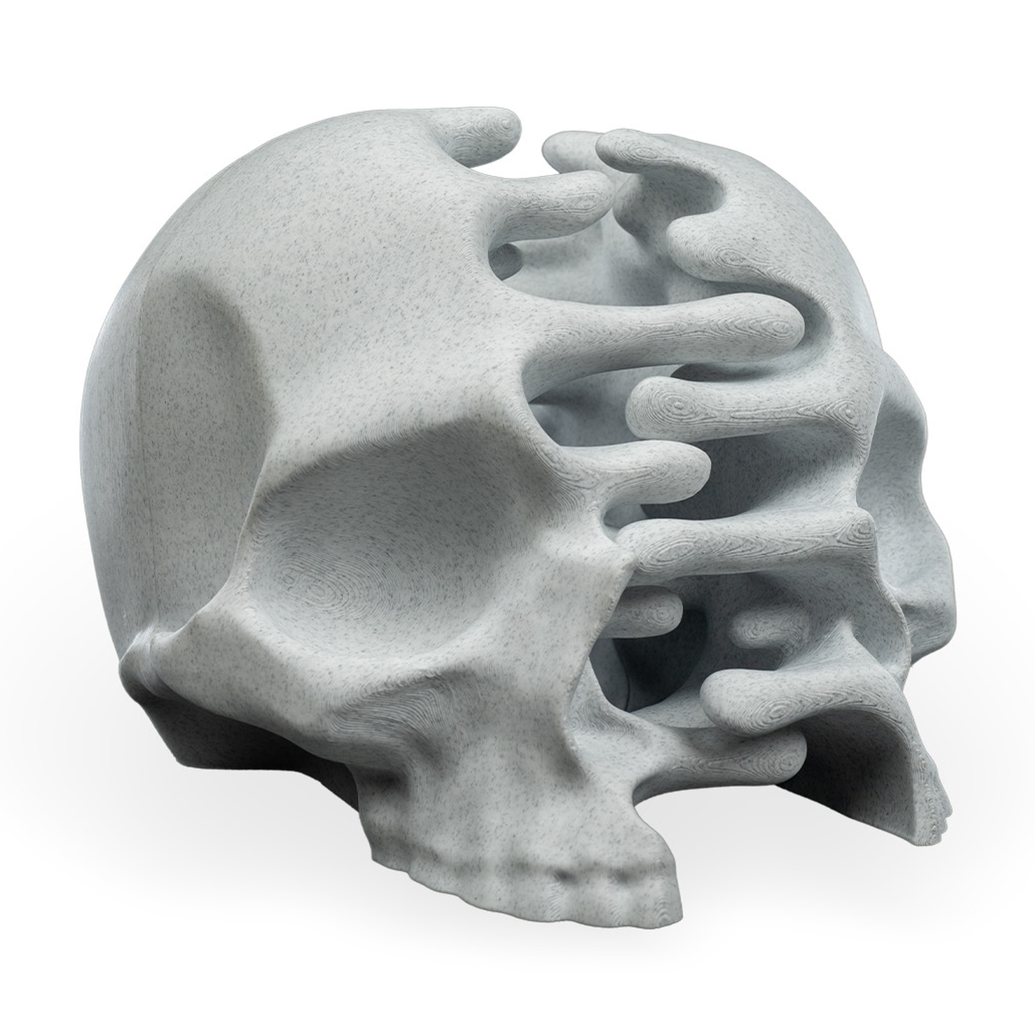 RIPped skull