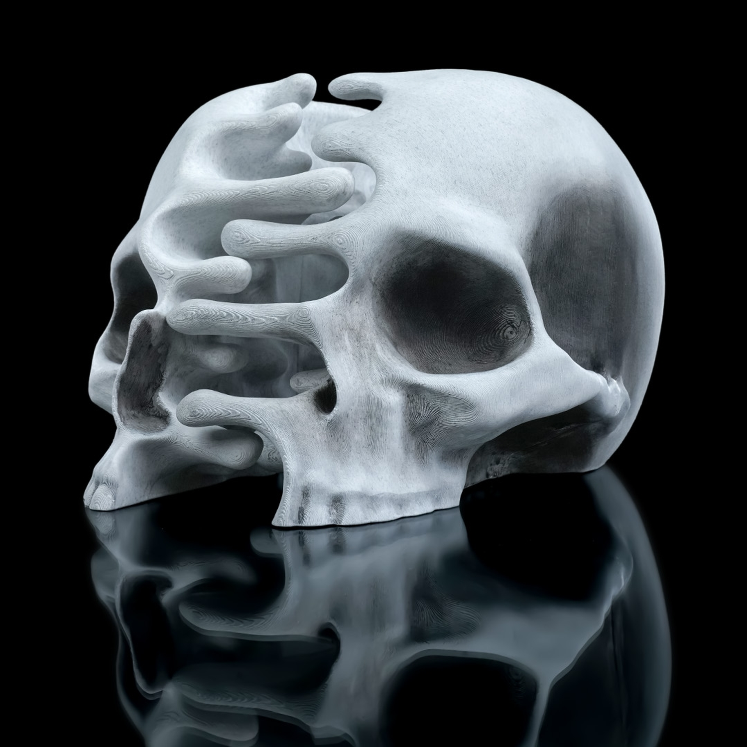 RIPped skull