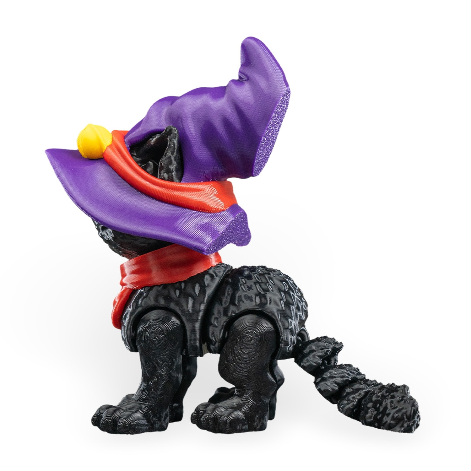 Gato in a hat