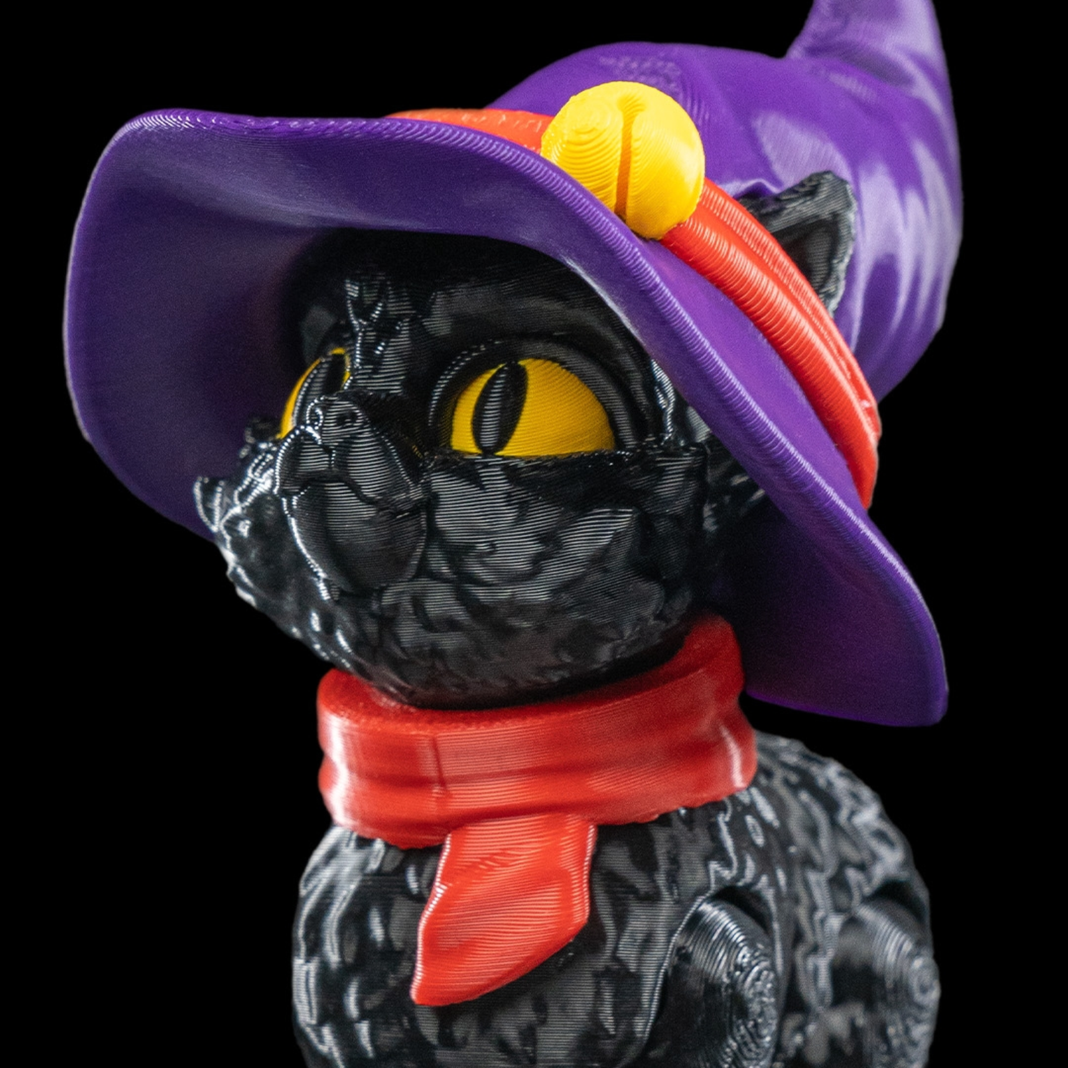 Gato in a hat