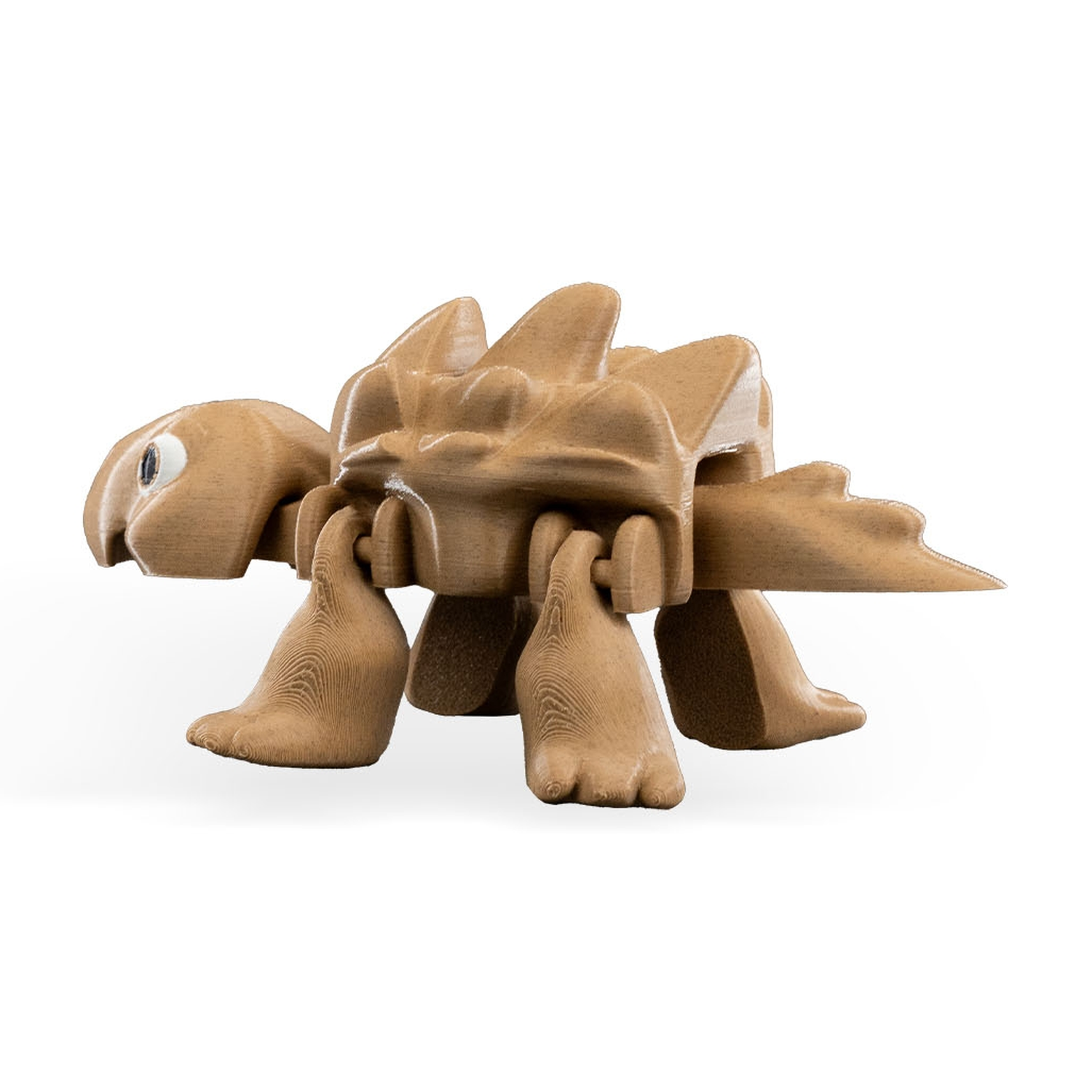 Tired Turtle