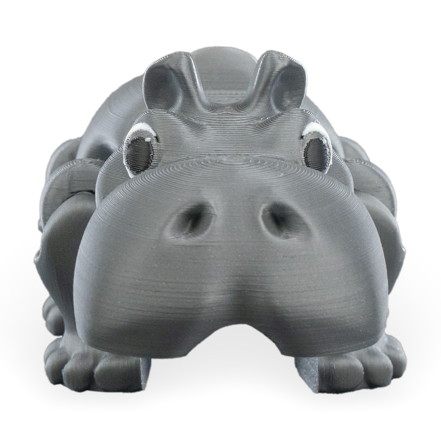 Hungry Hippo