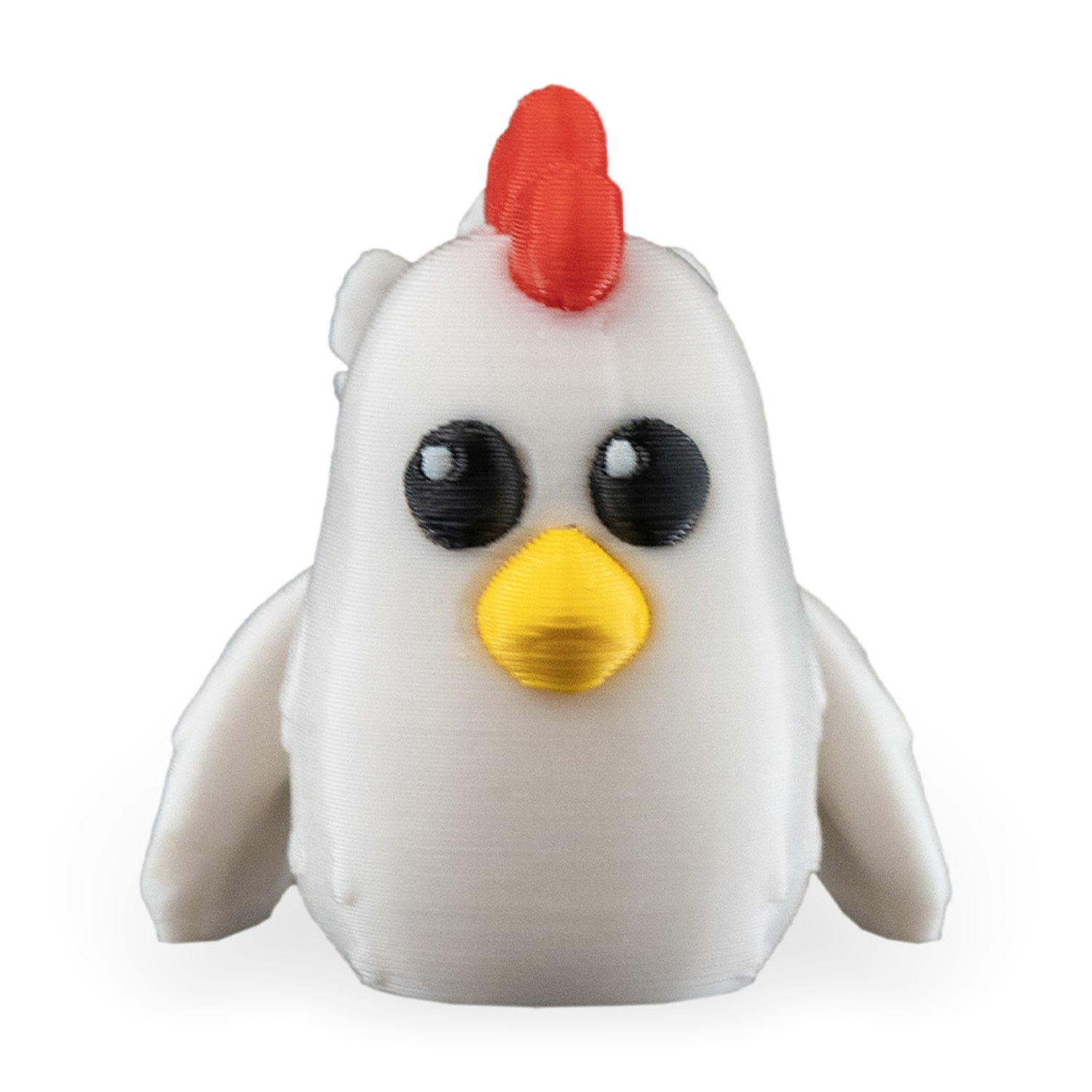 Polly, The Chicken