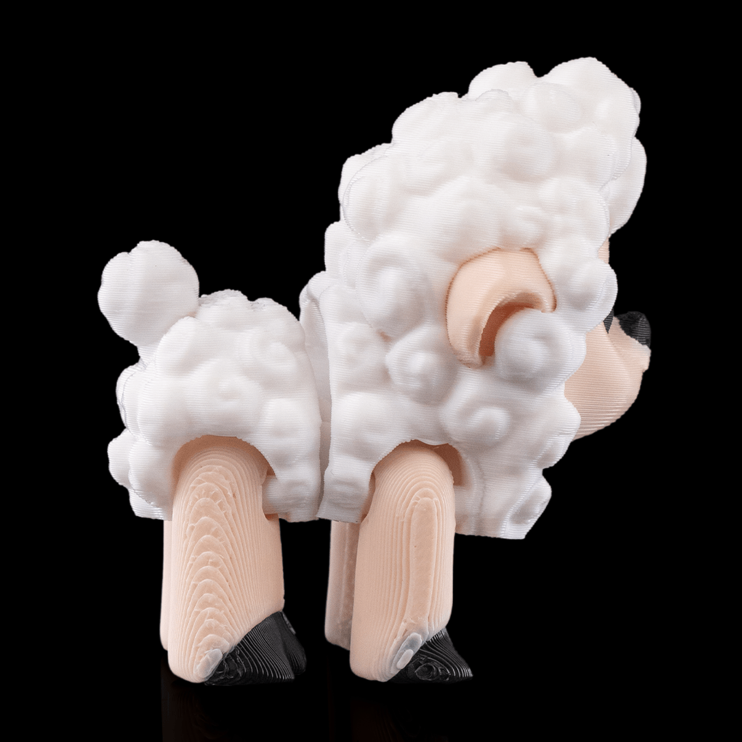 Shane, The Sheep