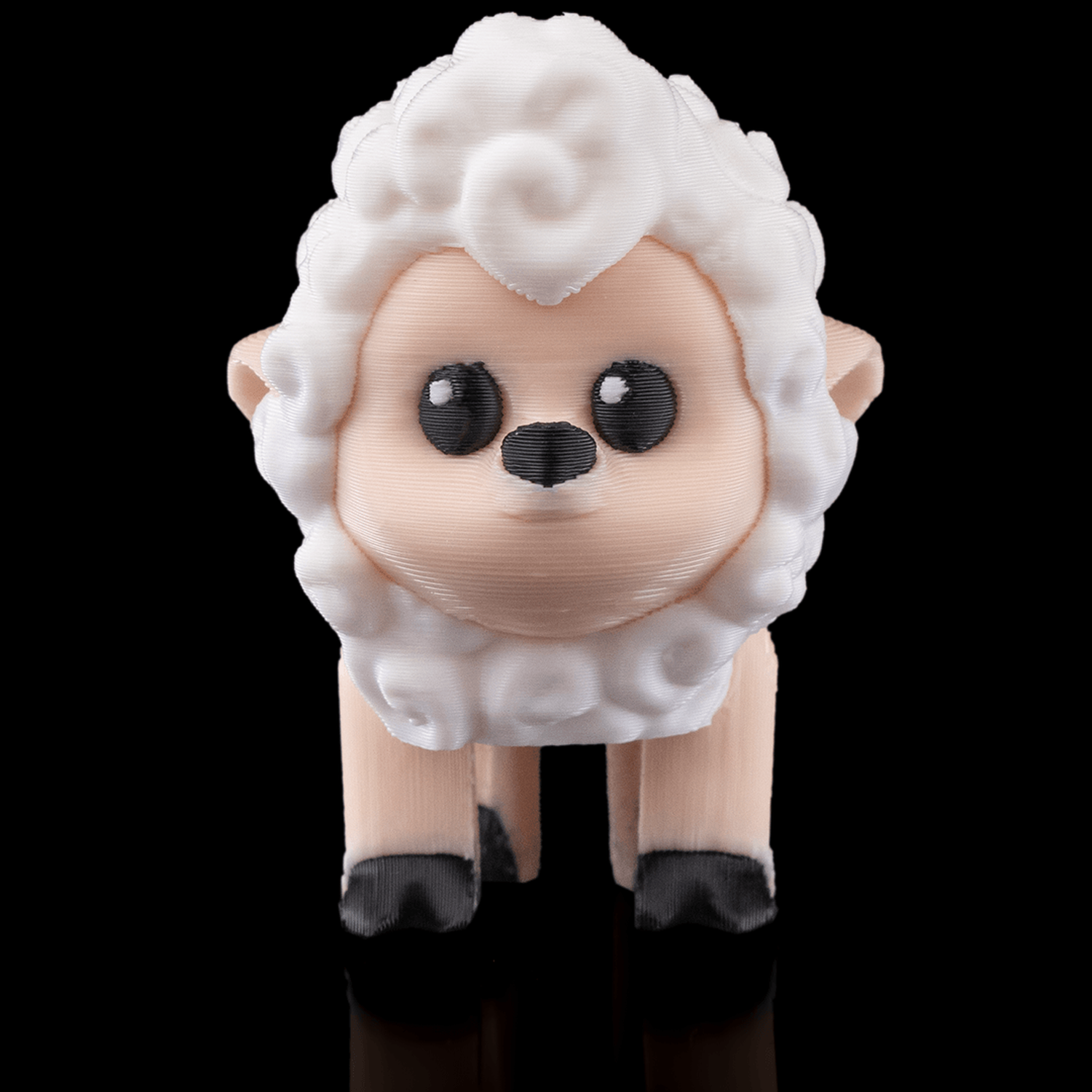 Shane, The Sheep