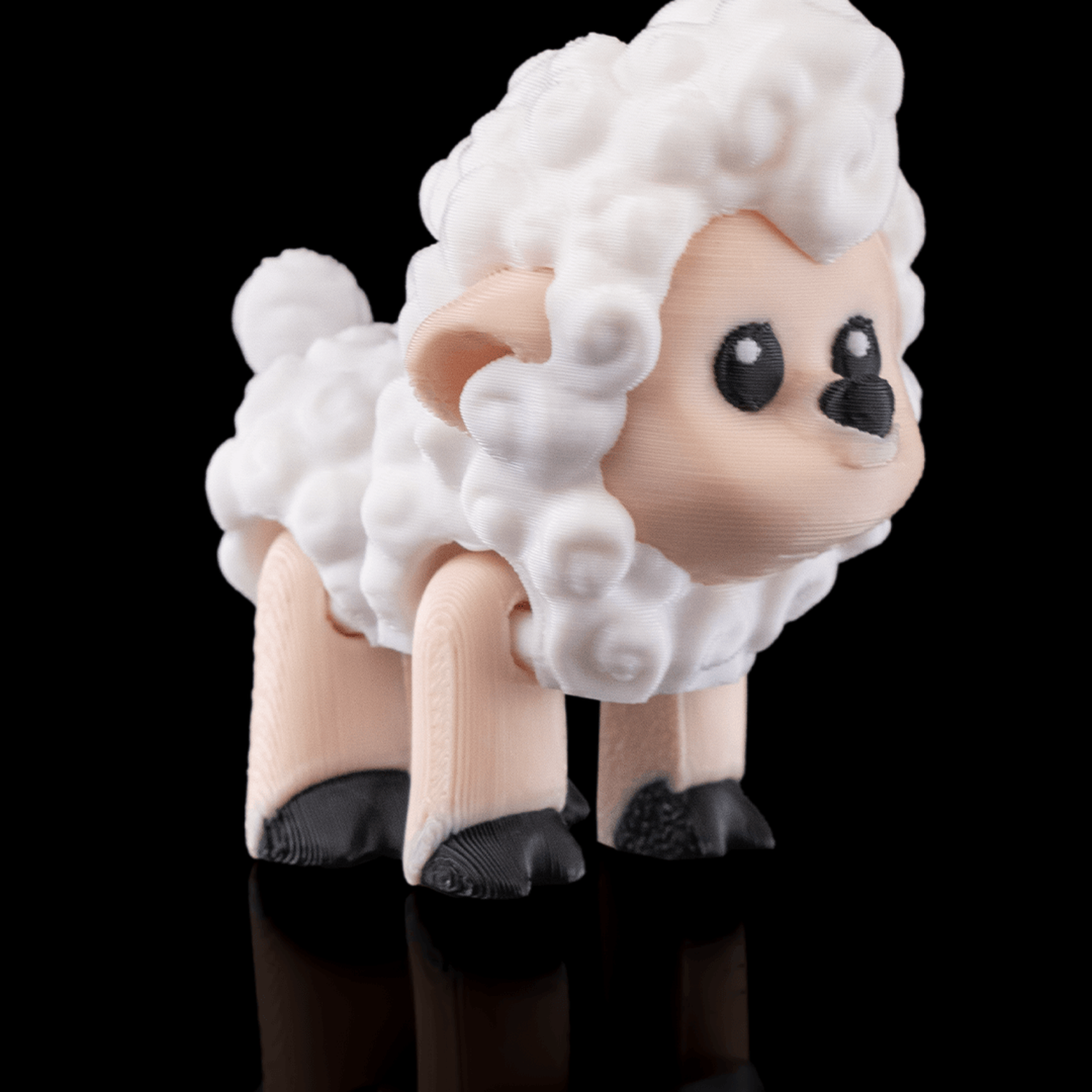 Shane, The Sheep