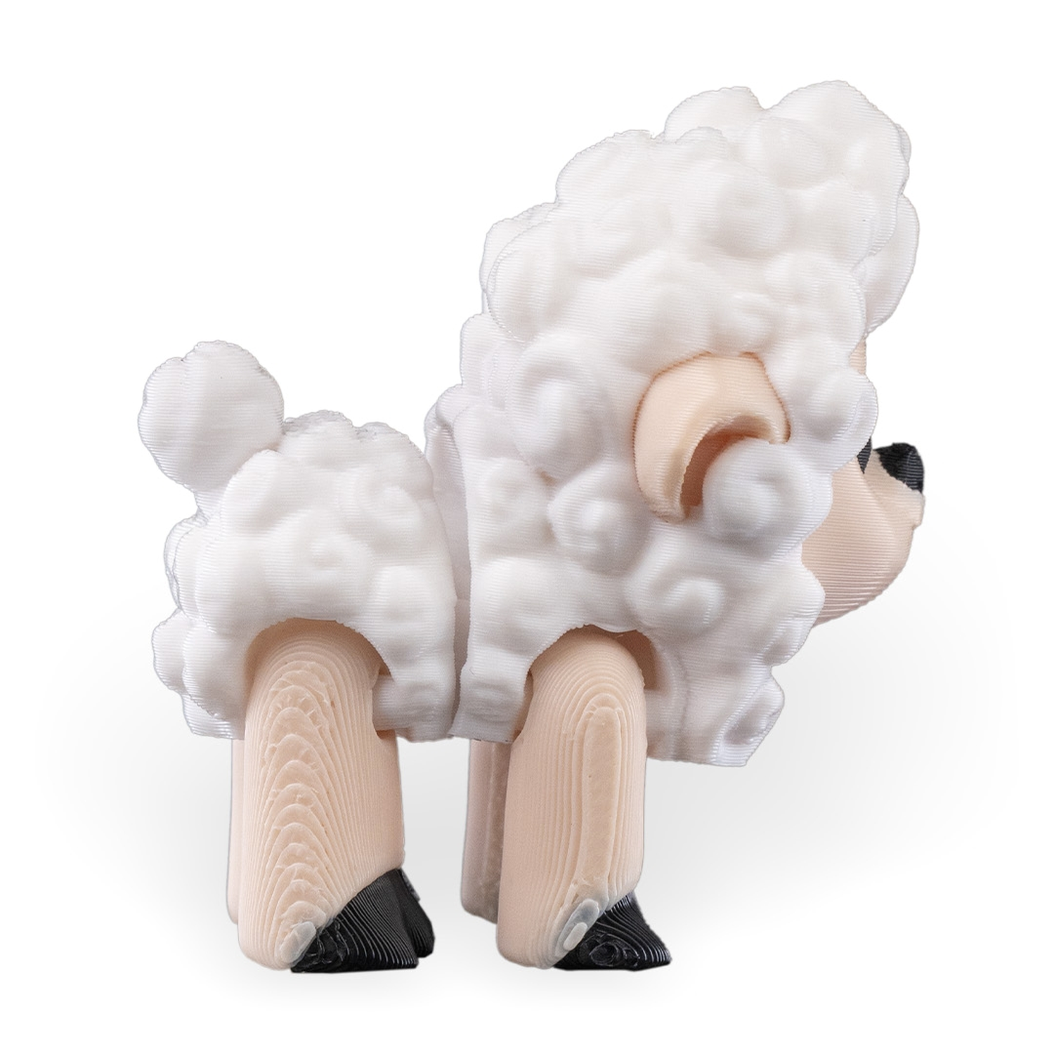 Shane, The Sheep