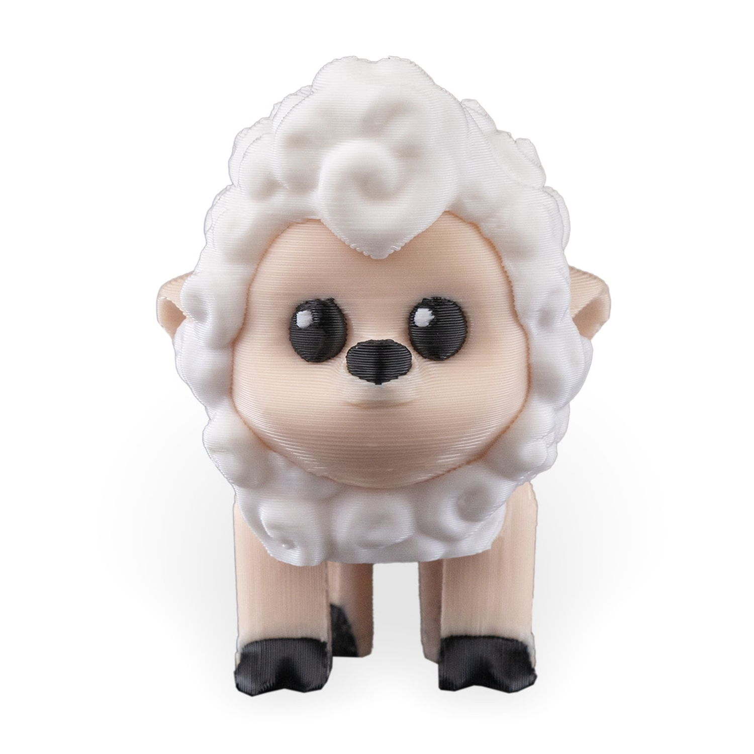 Shane, The Sheep