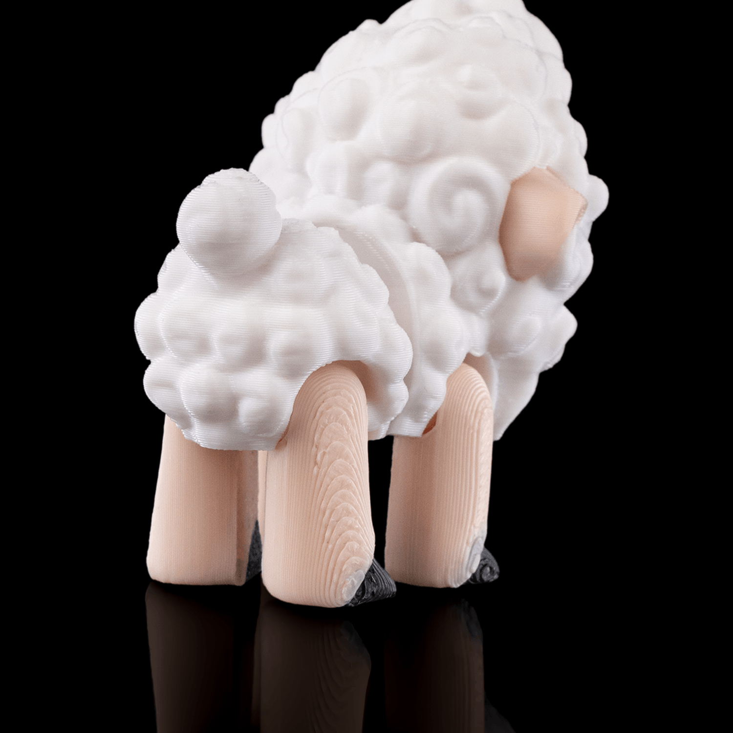 Shane, The Sheep