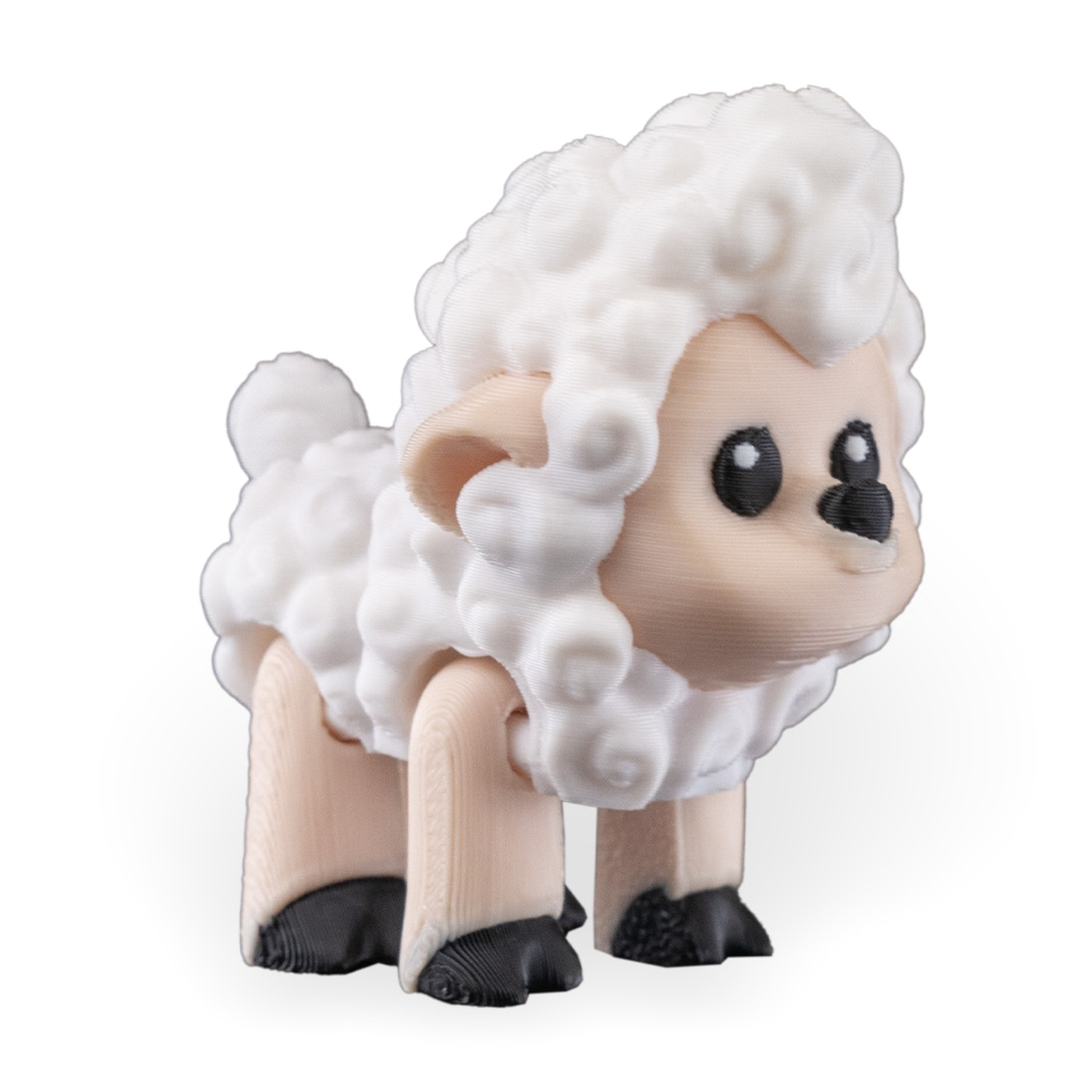 Shane, The Sheep
