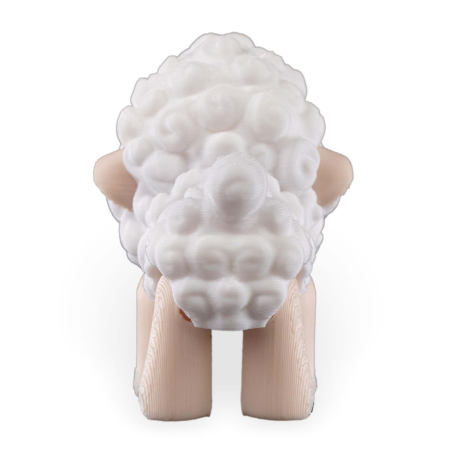 Shane, The Sheep