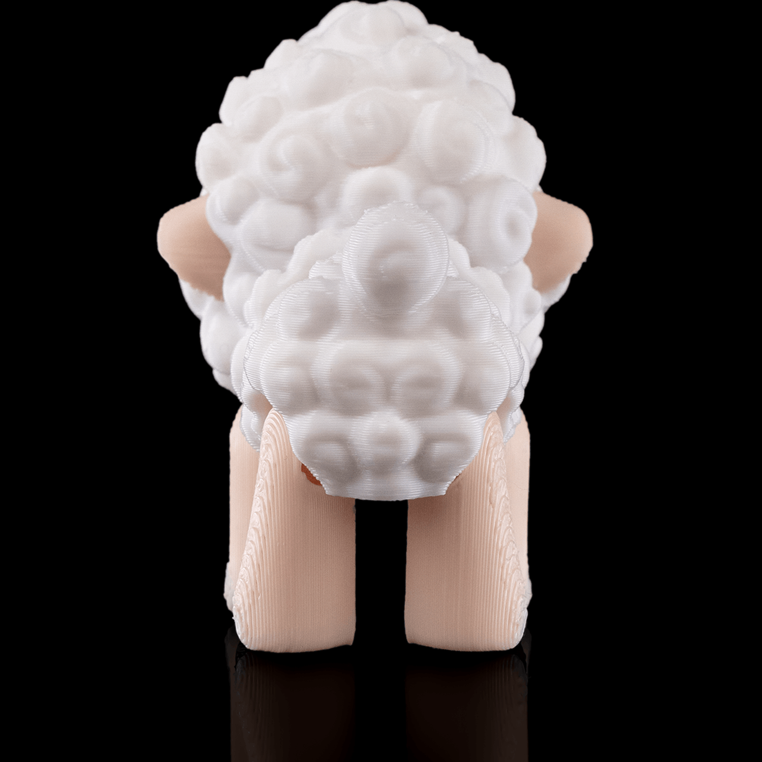 Shane, The Sheep