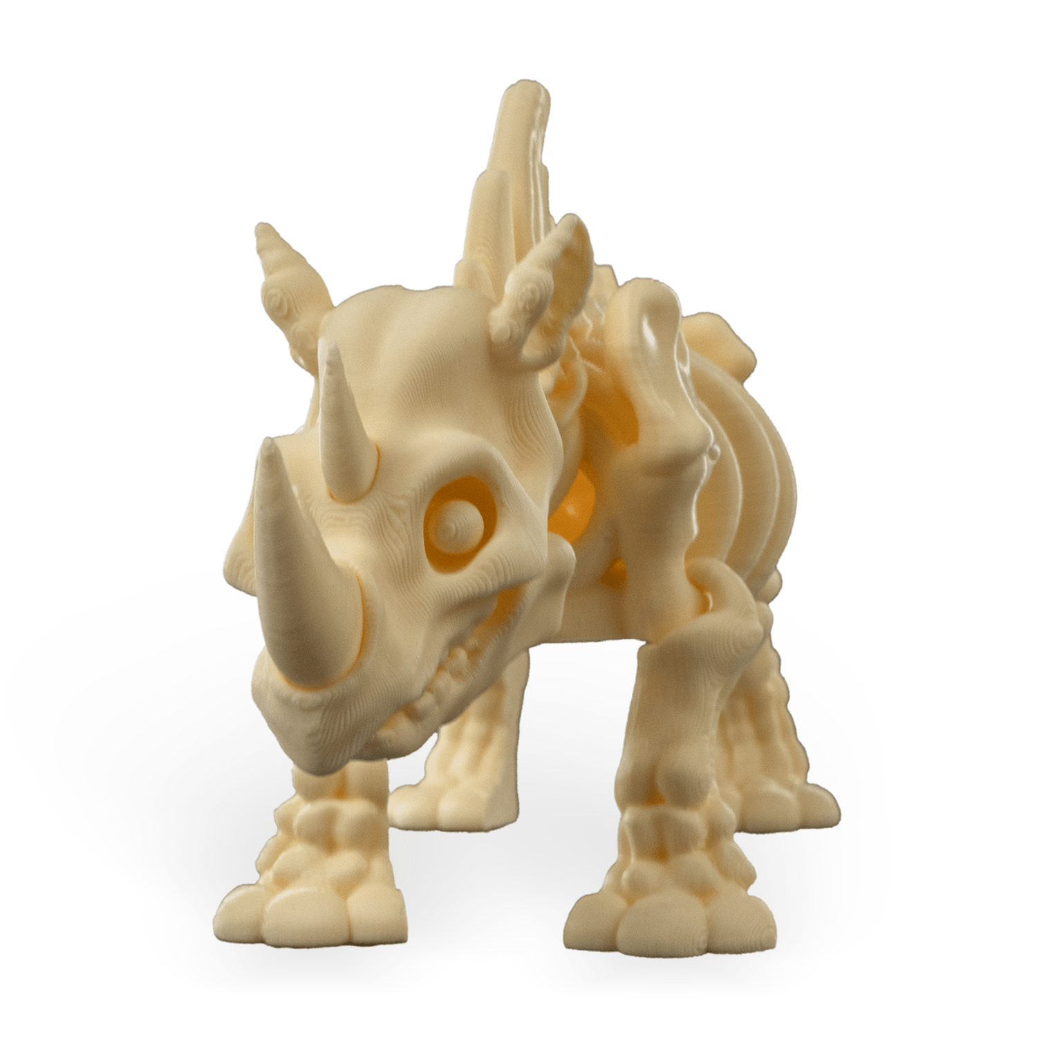 Skeleton Rhino