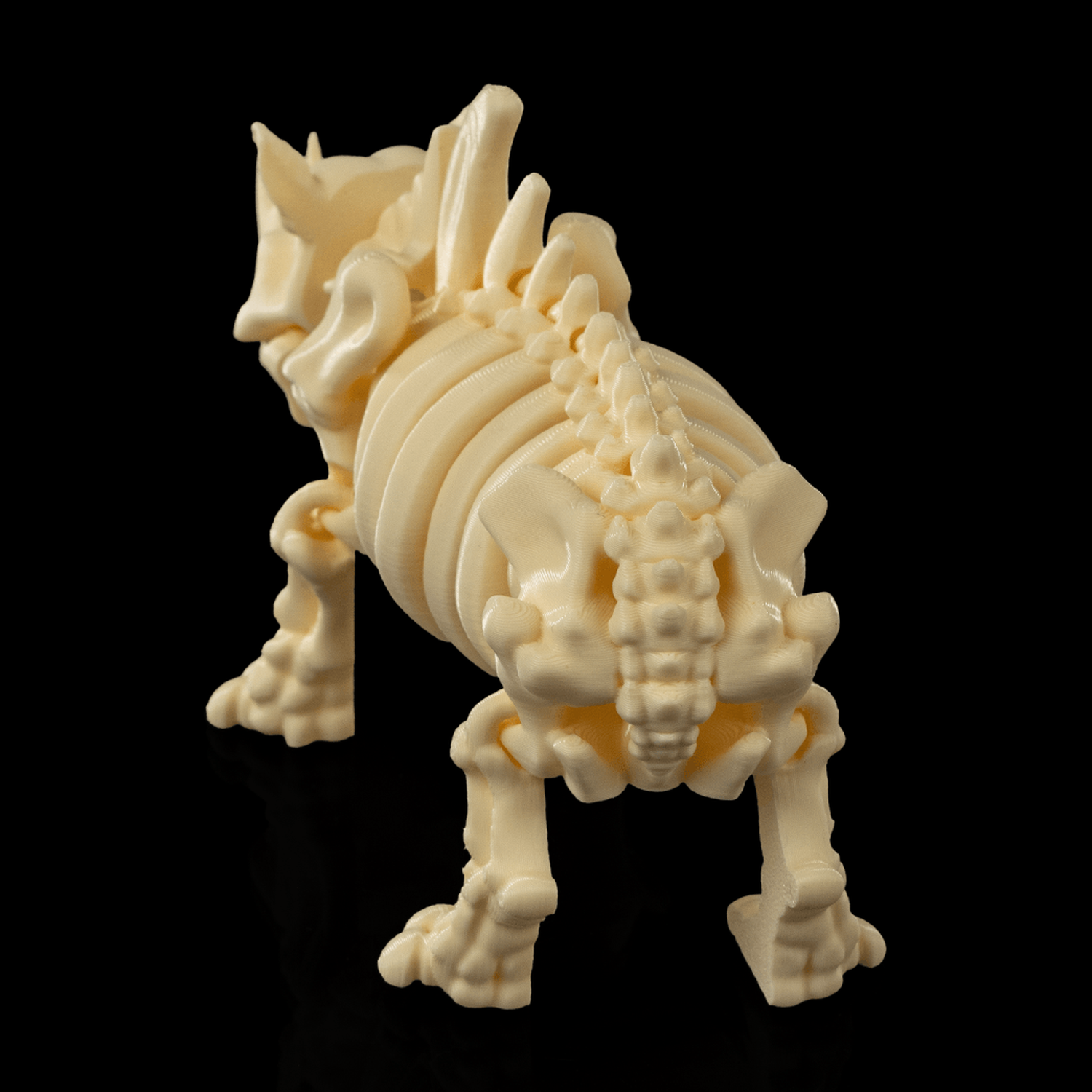 Skeleton Rhino