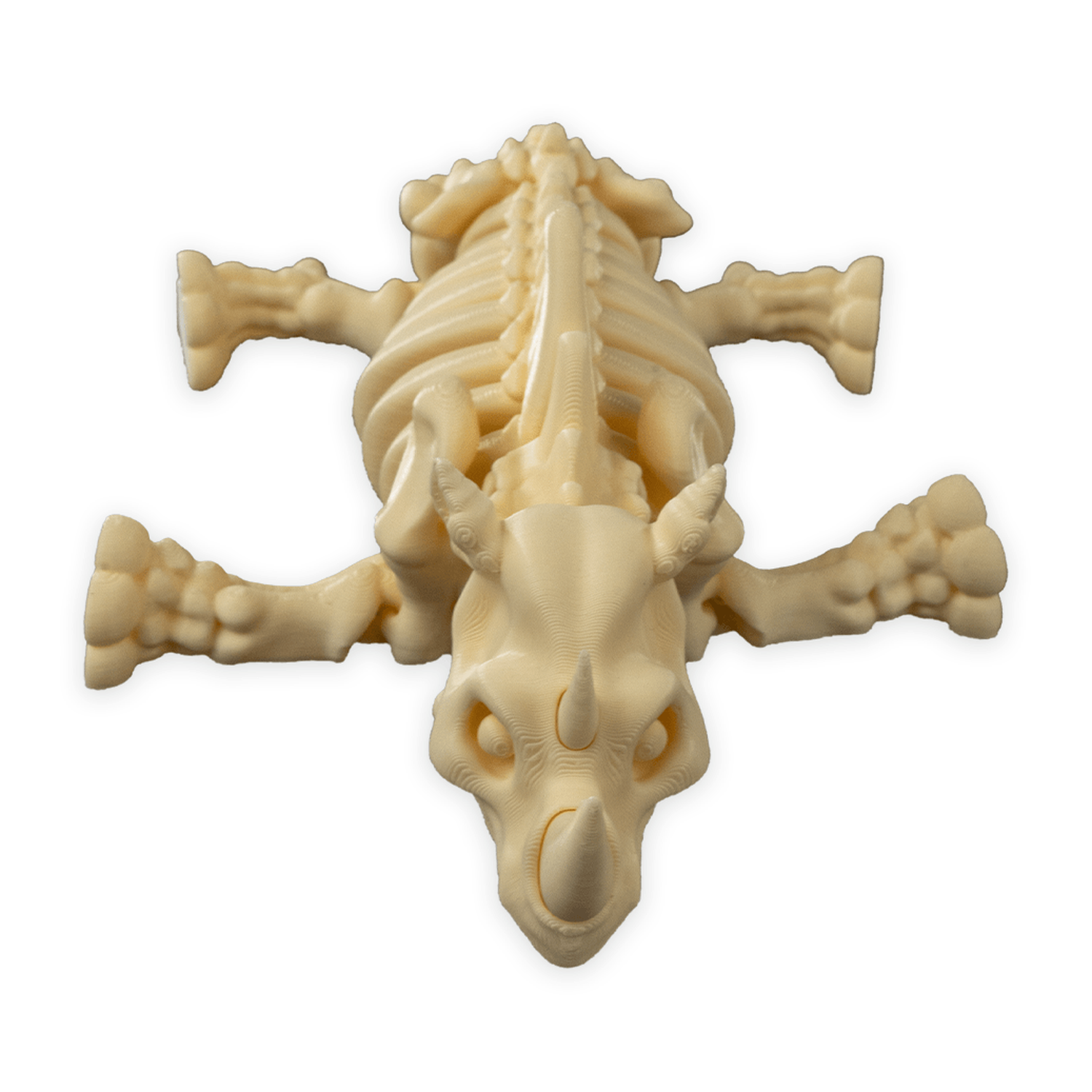Skeleton Rhino