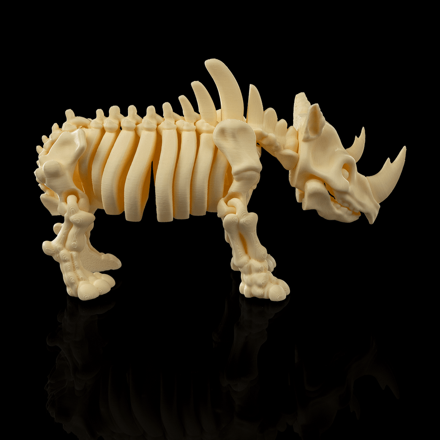 Skeleton Rhino