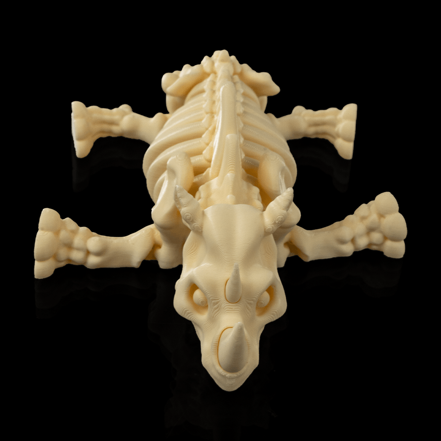 Skeleton Rhino